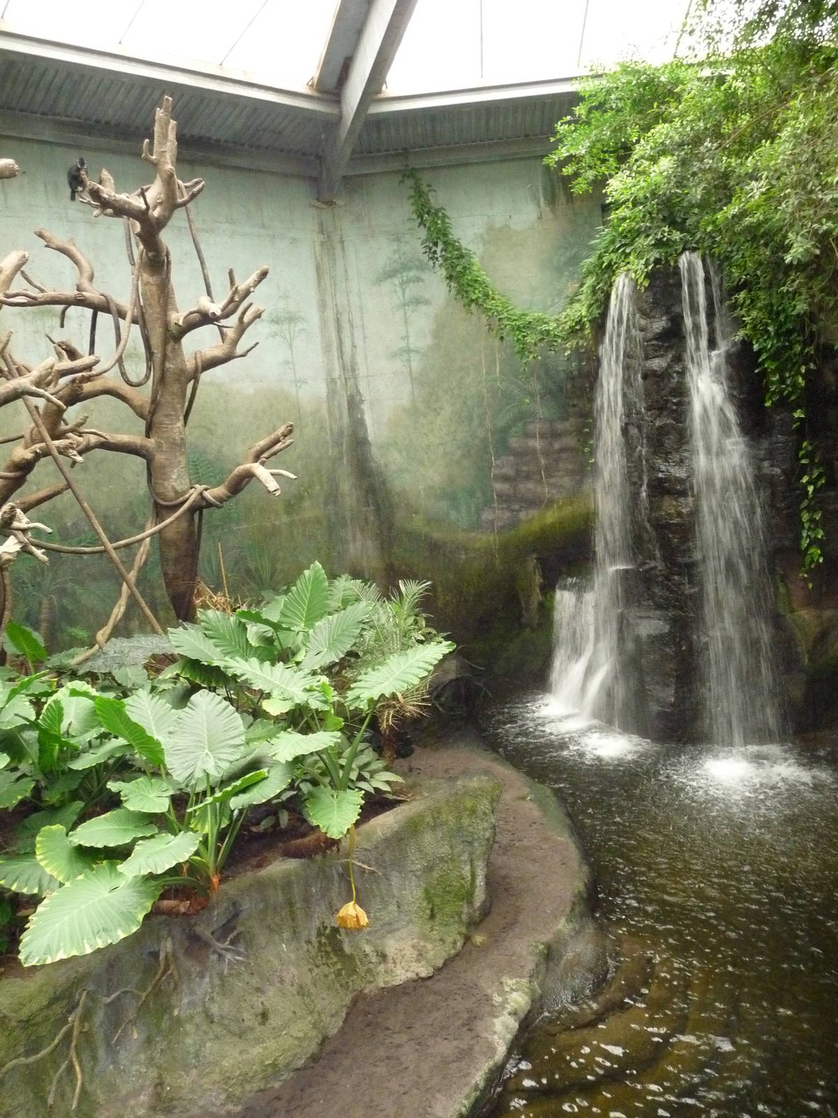 Omaha's Henry Doorly Zoo - Lied Jungle