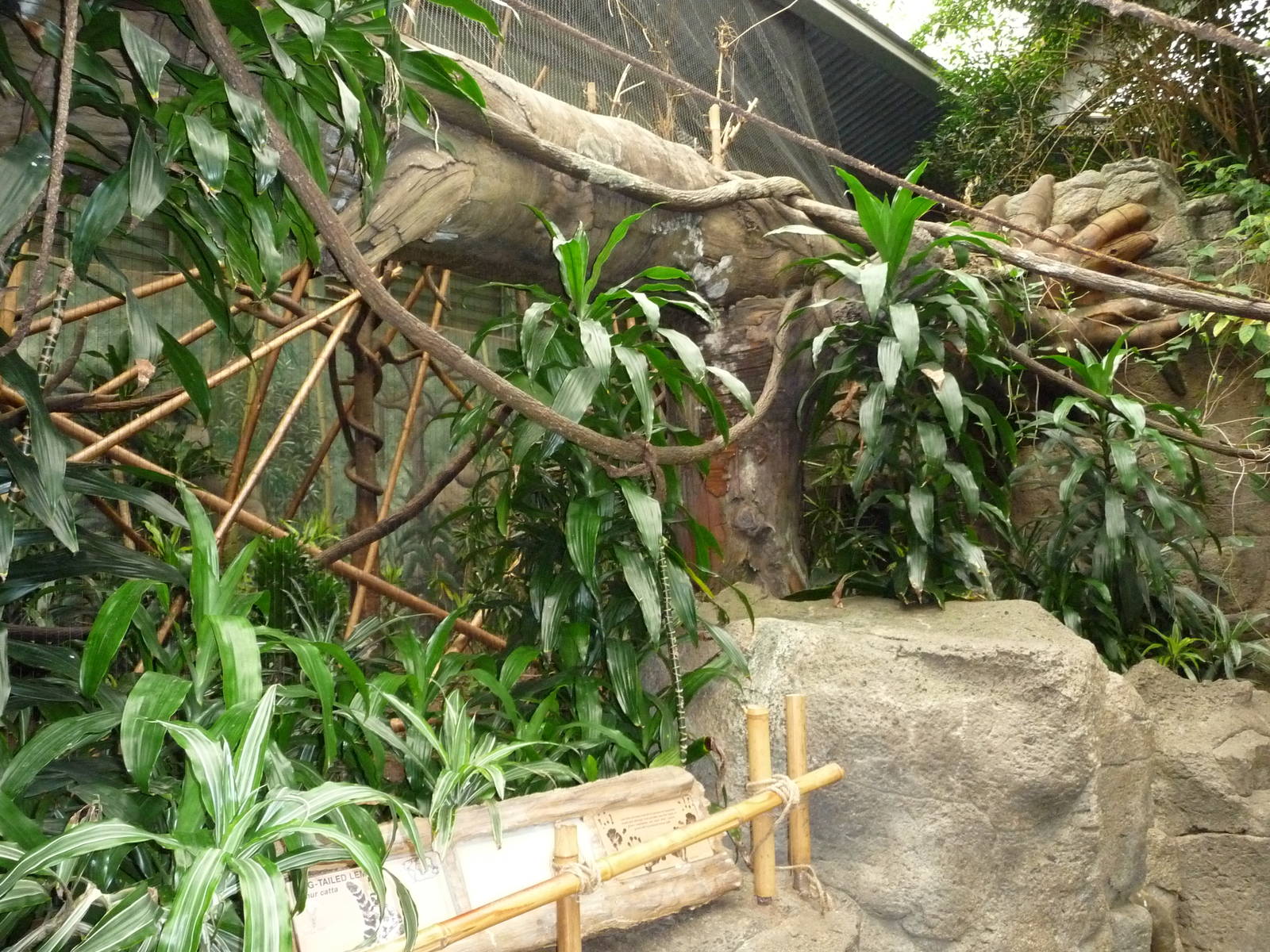 Omaha's Henry Doorly Zoo - Lied Jungle