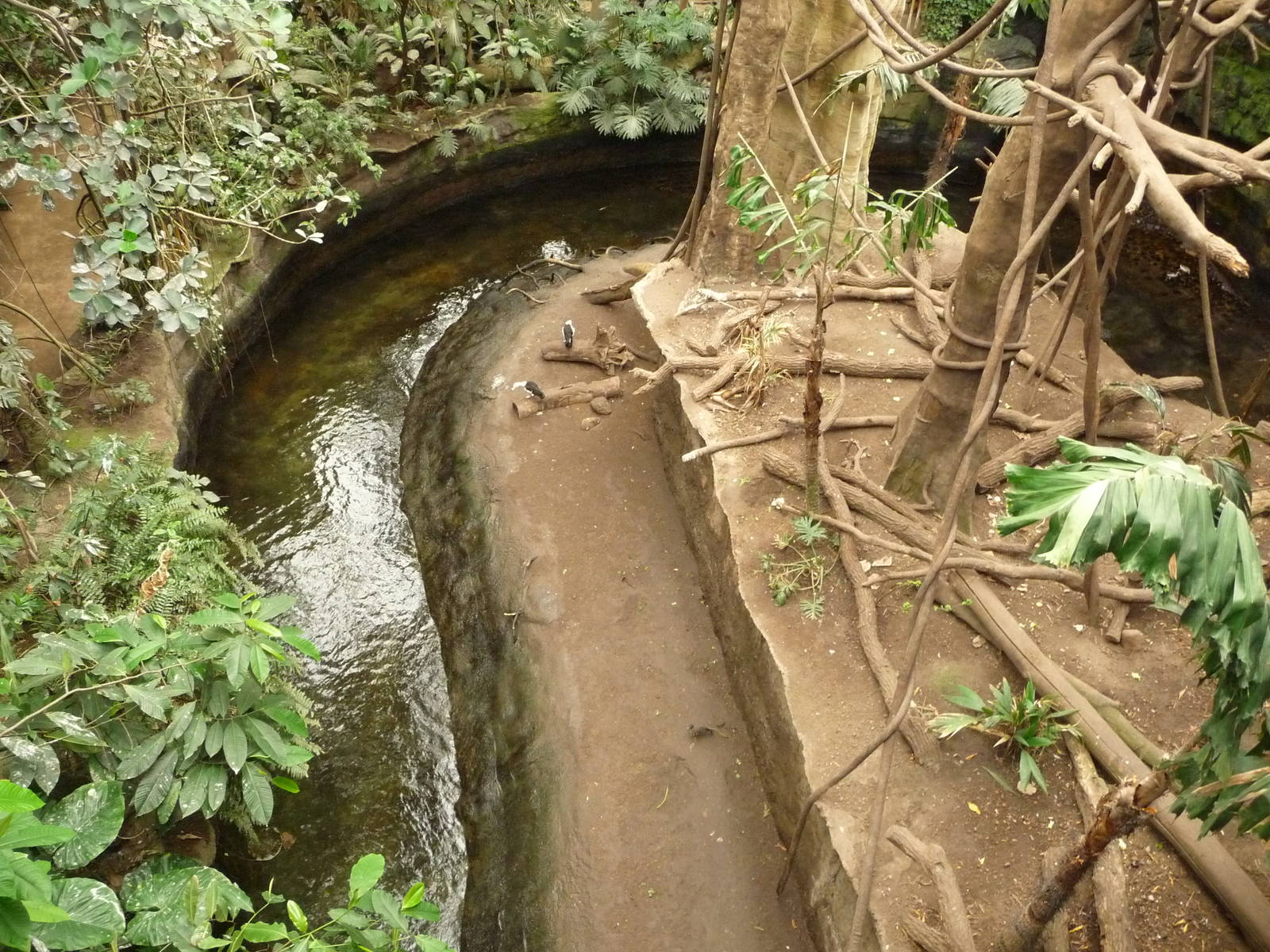 Omaha's Henry Doorly Zoo - Lied Jungle