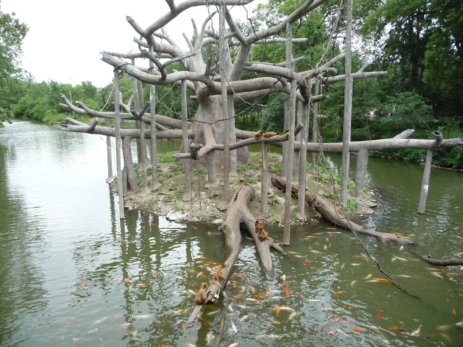 Omaha's Henry Doorly Zoo - Monkey Island