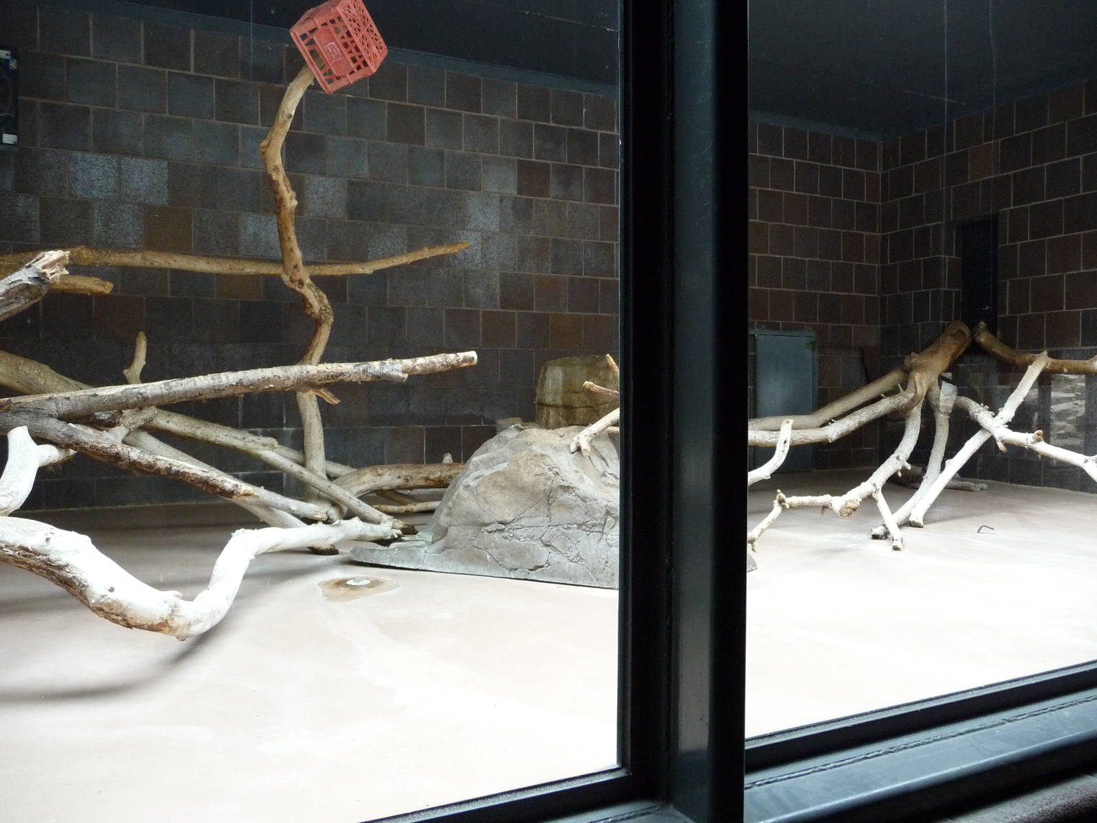 Omaha's Henry Doorly Zoo - Mountain Lion Exhibit