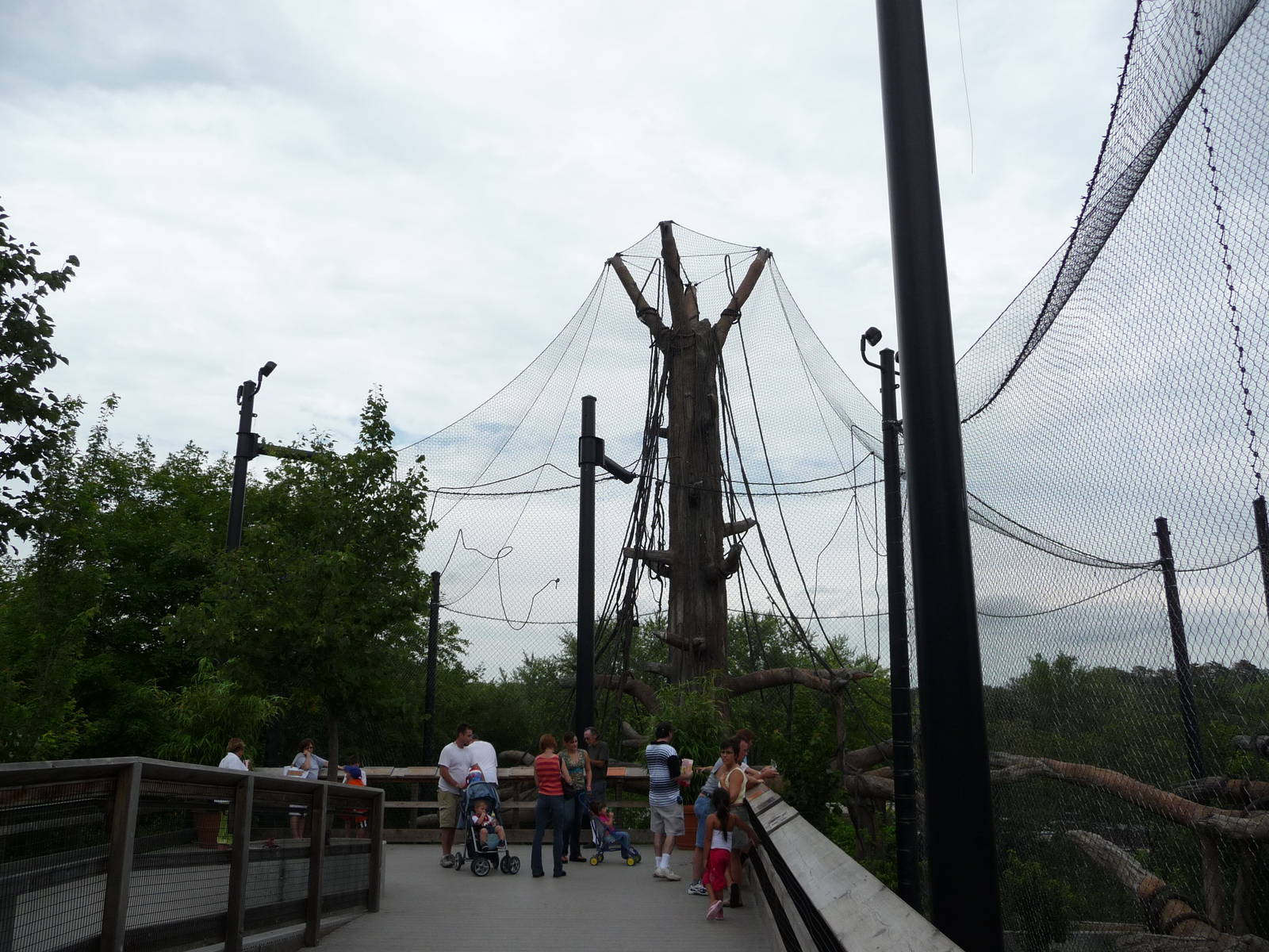 Omaha's Henry Doorly Zoo - Orangutan Exhibit