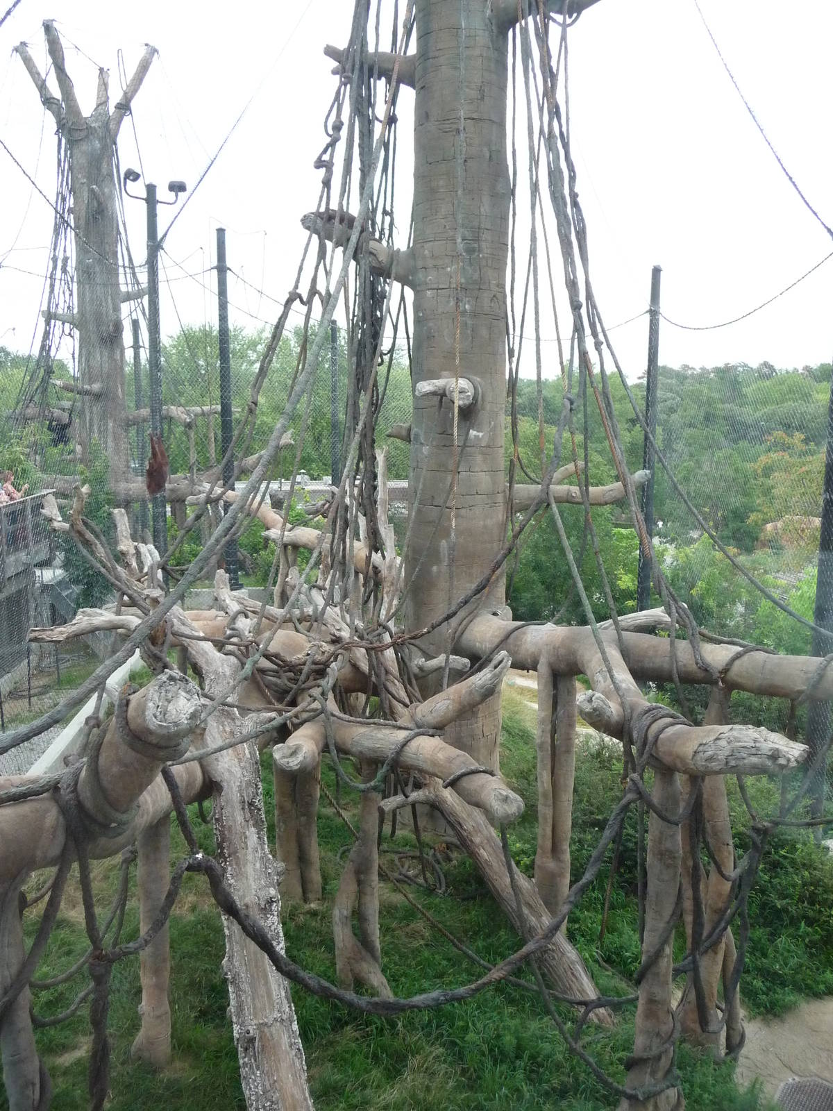 Omaha's Henry Doorly Zoo - Orangutan Exhibit