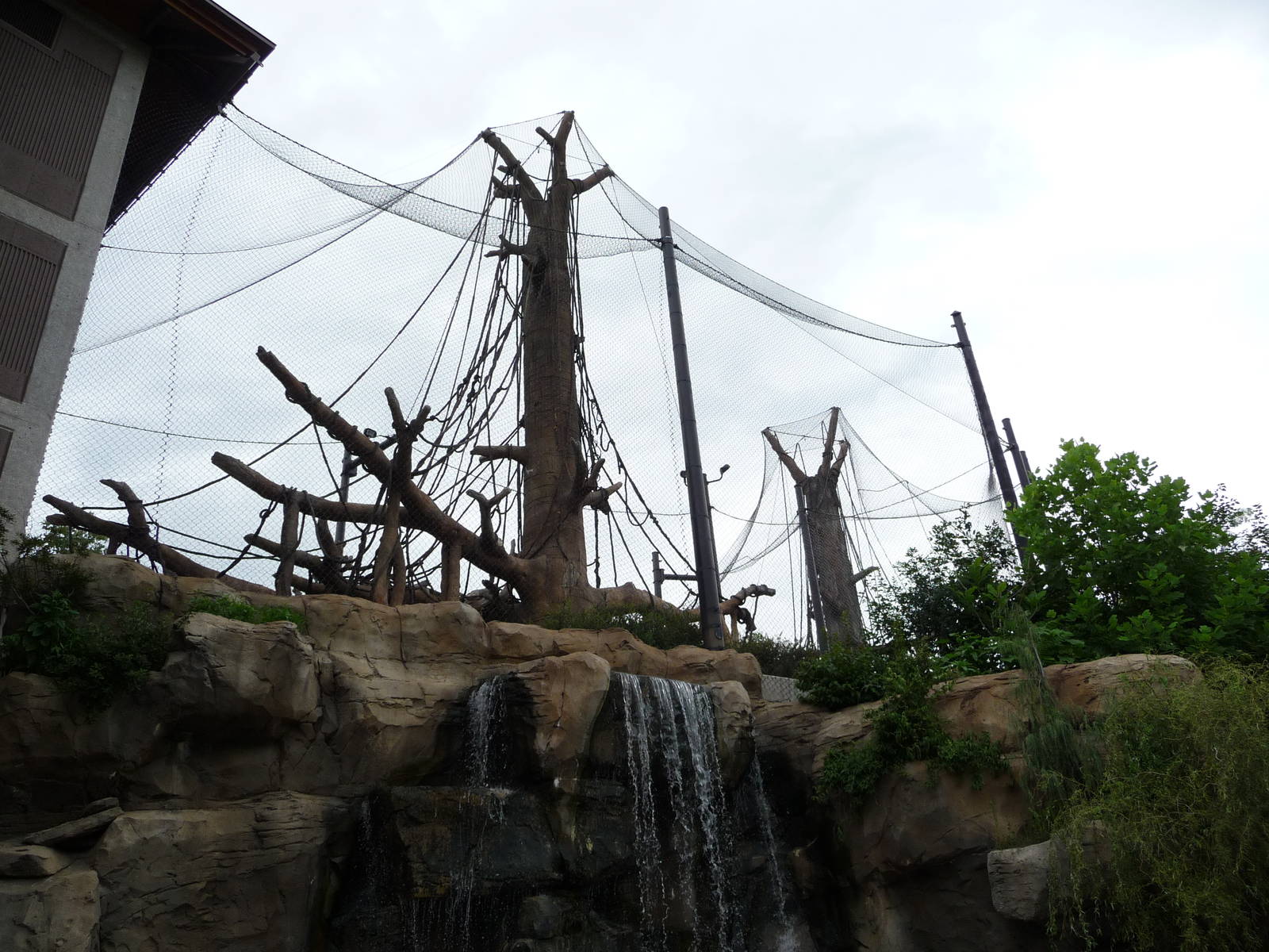 Omaha's Henry Doorly Zoo - Orangutan Exhibit