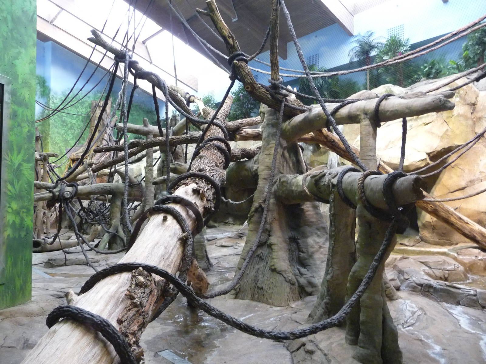 Omaha's Henry Doorly Zoo - Orangutan Indoor Exhibit