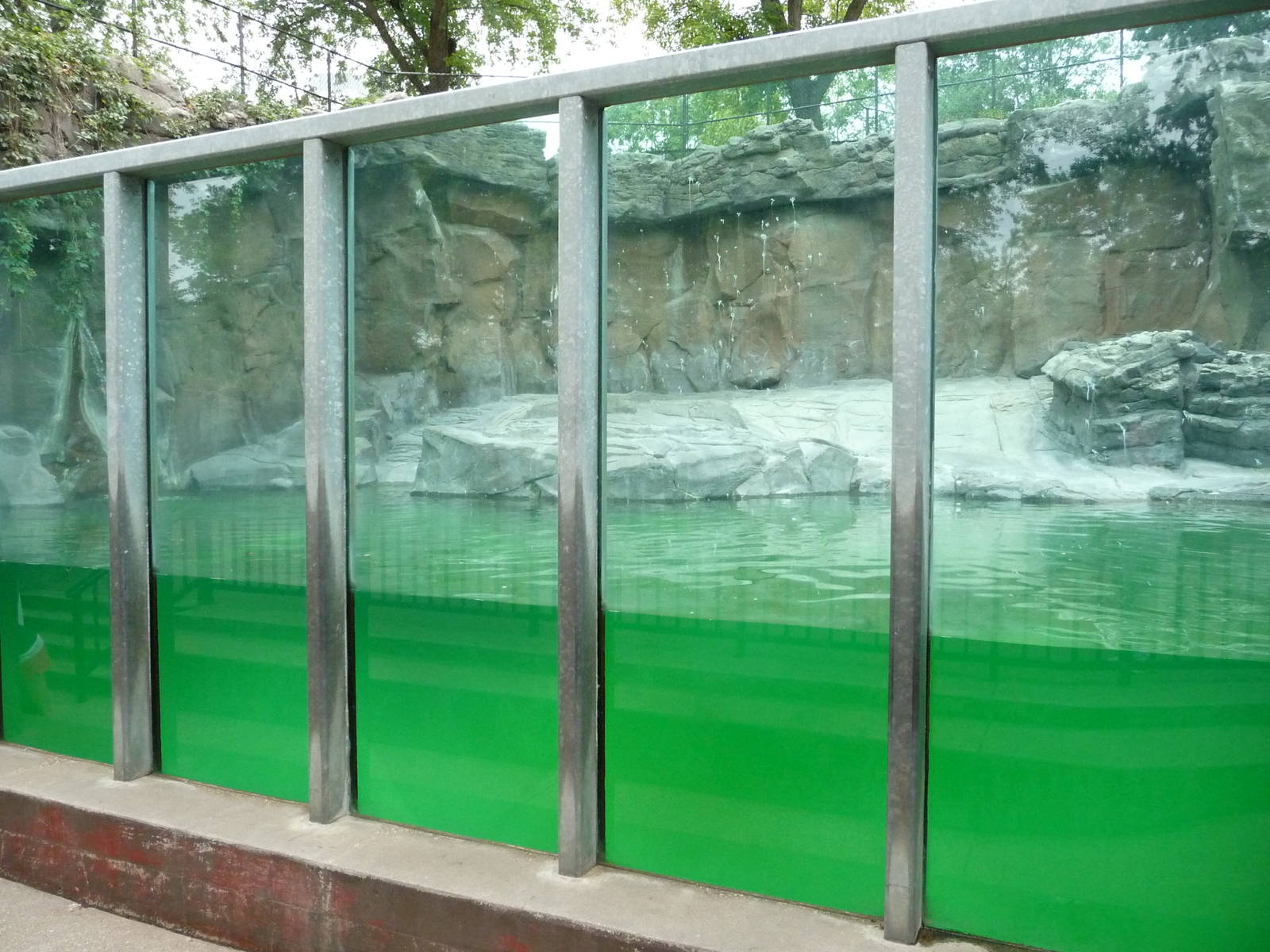 Omaha's Henry Doorly Zoo - Polar Bear Pool