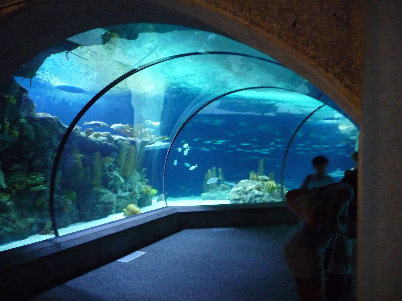 Omaha's Henry Doorly Zoo - Scott Aquarium