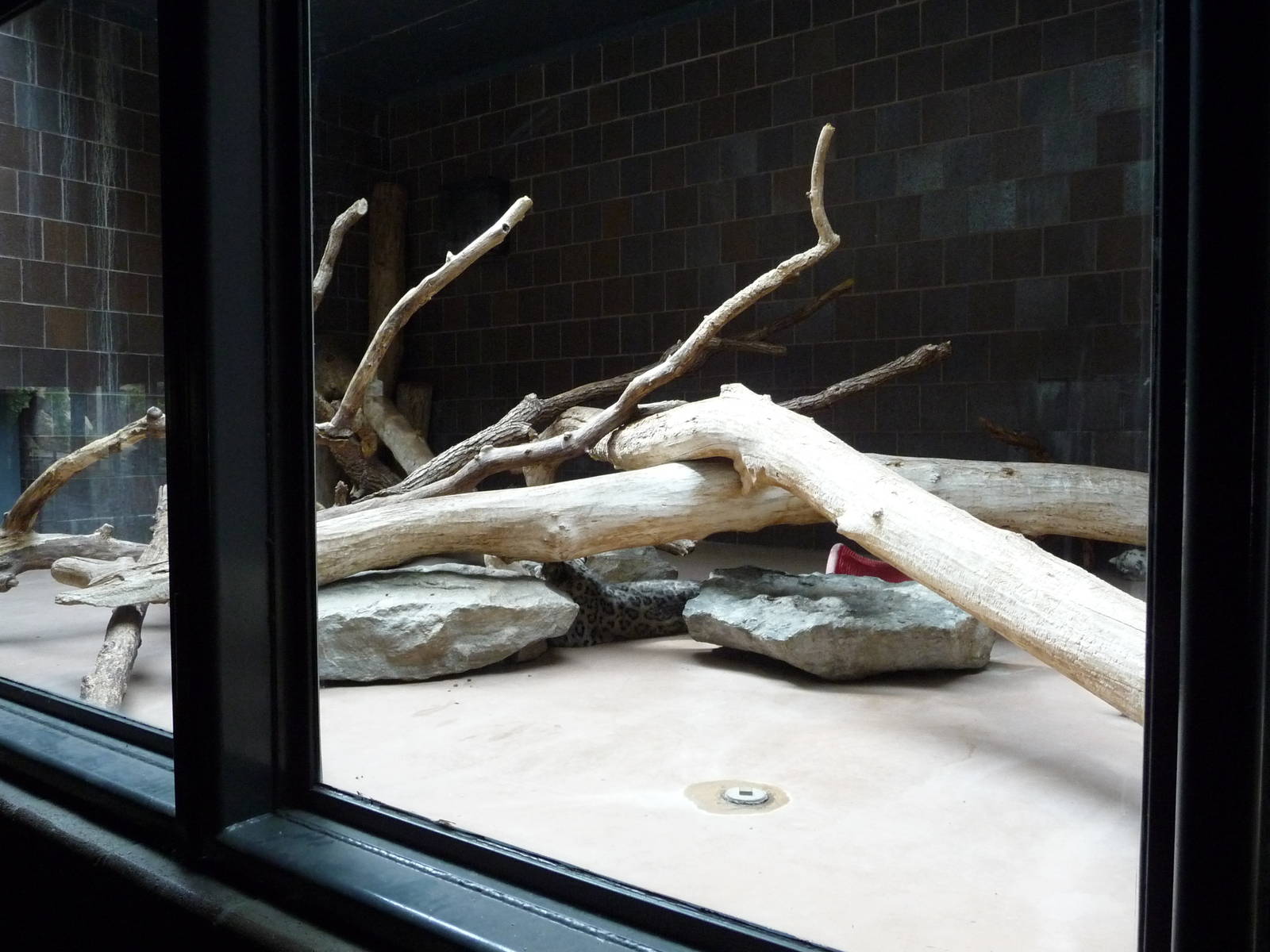 Omaha's Henry Doorly Zoo - Snow Leopard Exhibit