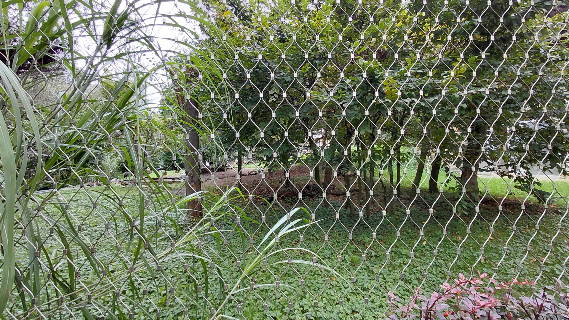 Omo – walk-in aviary