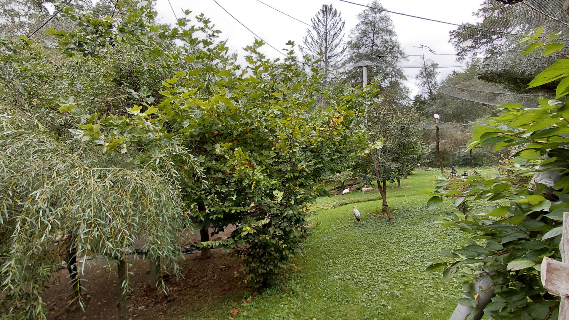 Omo – walk-in aviary