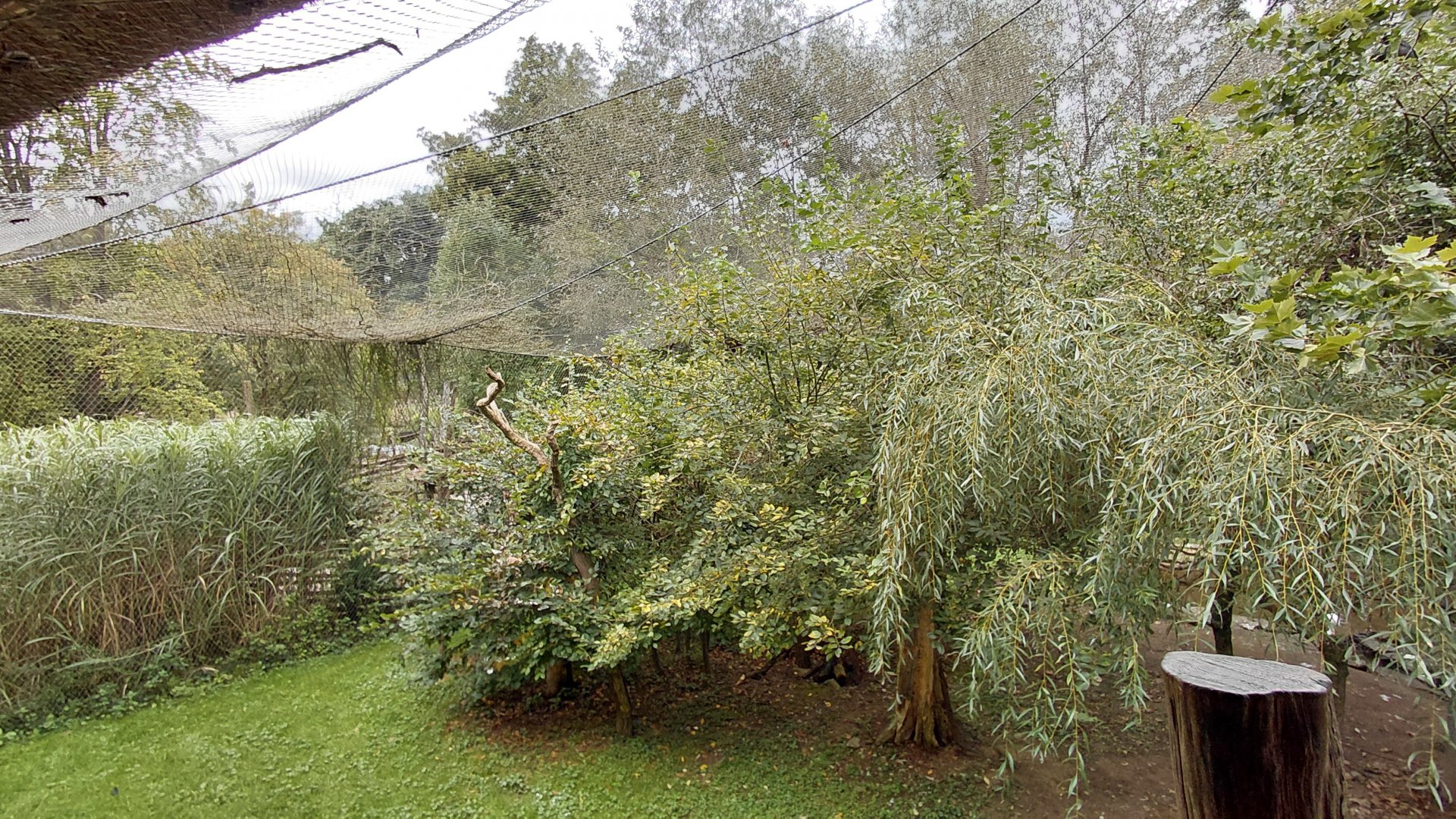 Omo – walk-in aviary