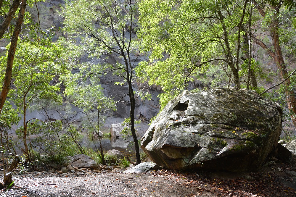 On bank of Wilson river.  NSW