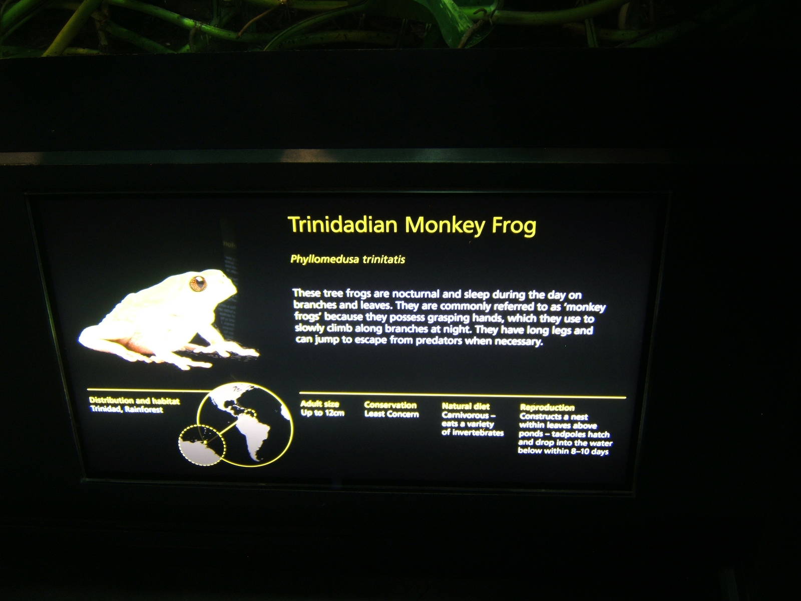 On exhibit signage style