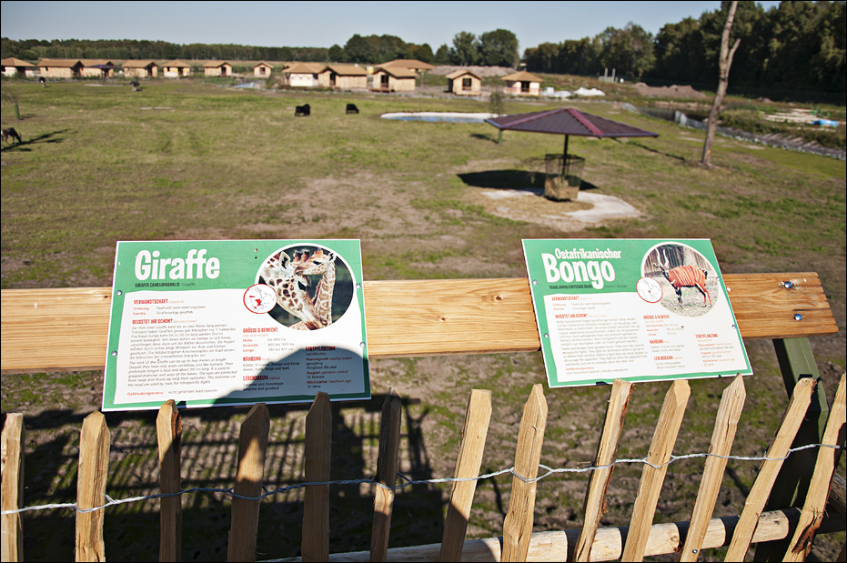 On-foot-safari at Serengeti Park