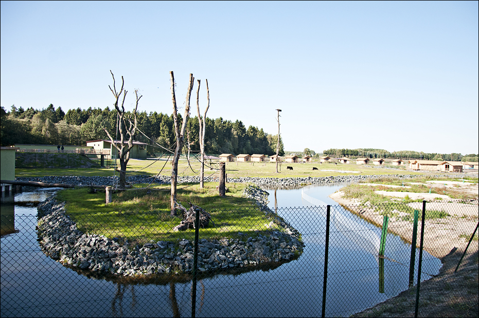 On-foot-safari at Serengeti Park