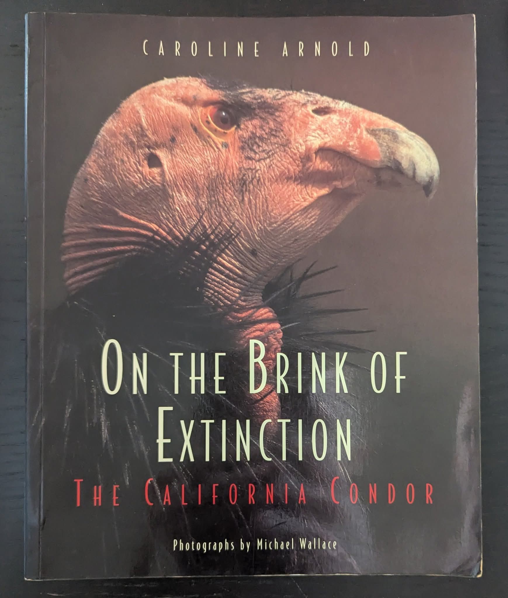 On the Brink of Extinction: The California Condor