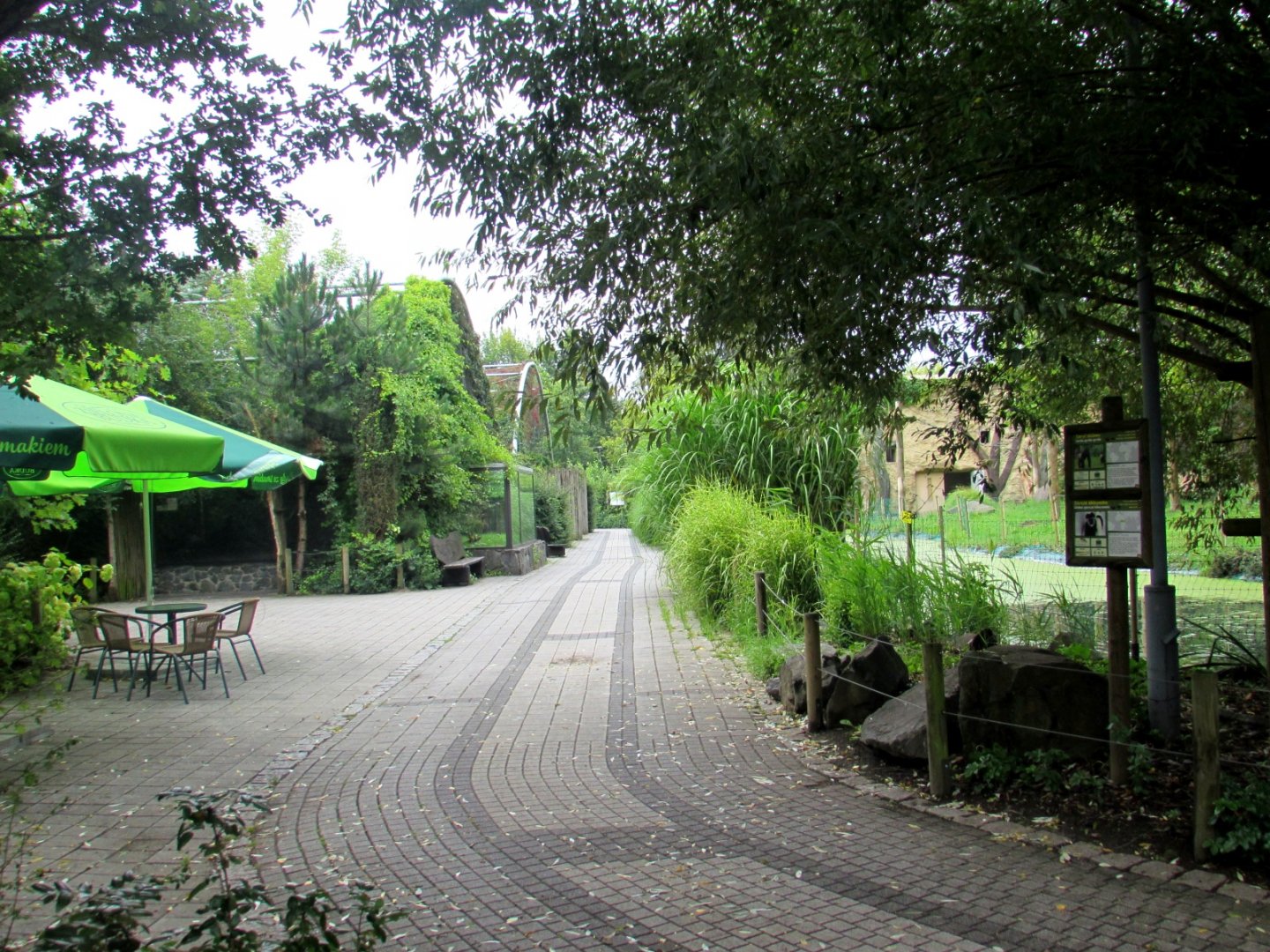 On the left - ocelot and jaguar aviary, on the right - gorilla and mantled guereza enclosure.