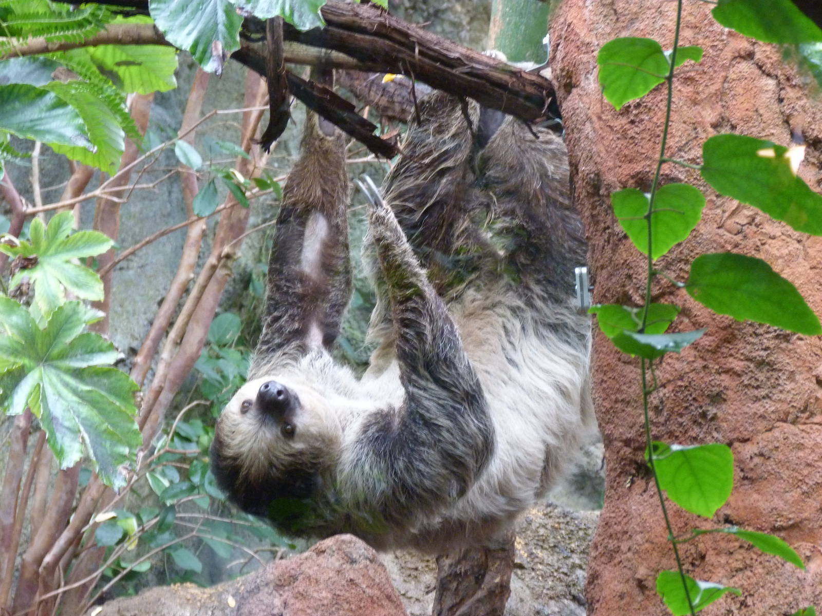 On the other side of the Termite Mound