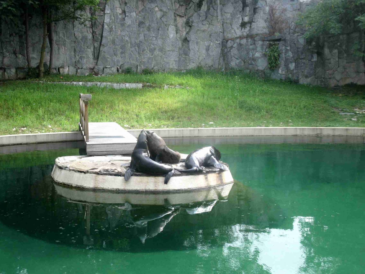 On the pier (previous location Cape Fur Seals) - 08.2013