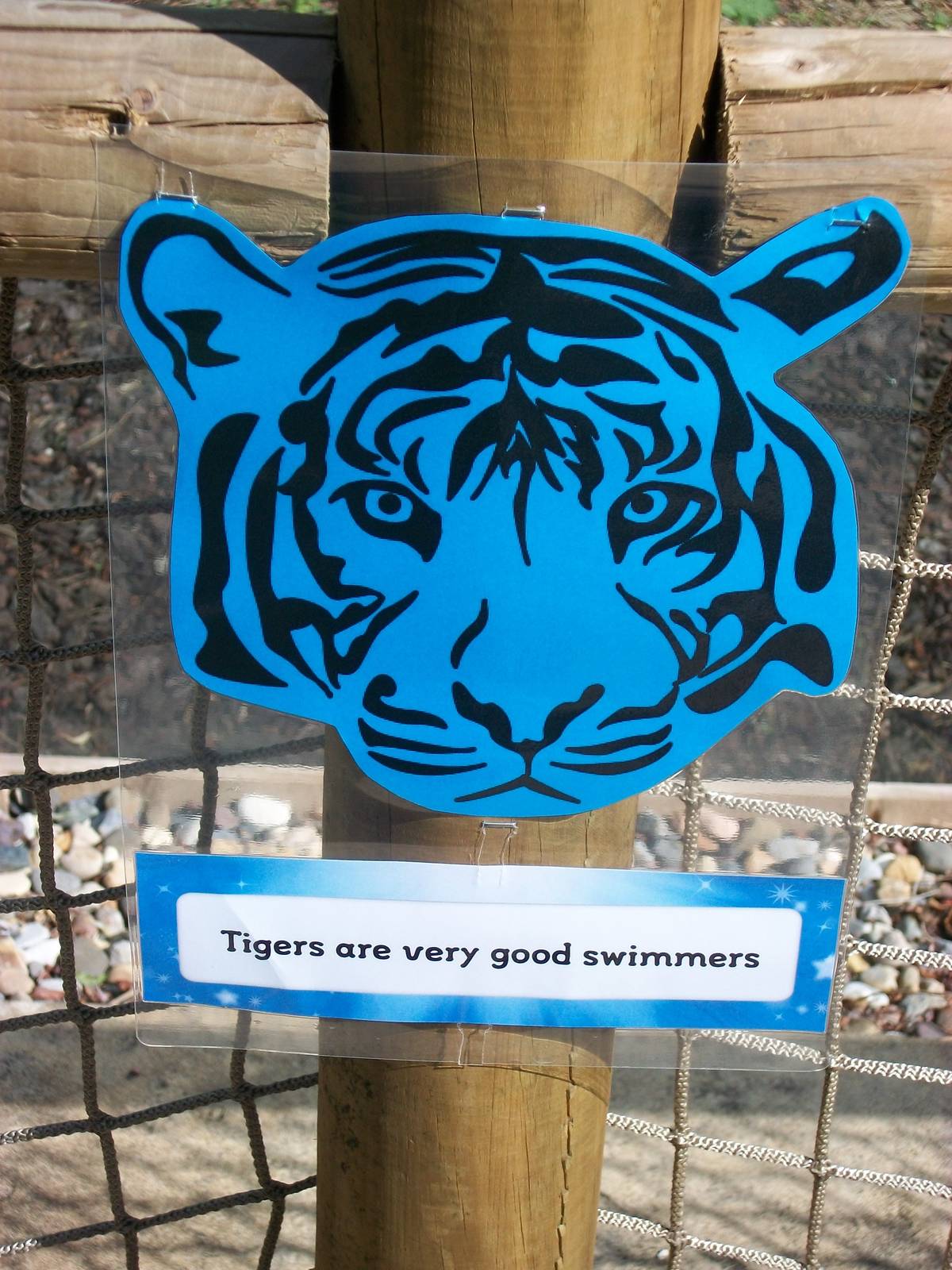 On the Tiger Trail, 4th August 2014