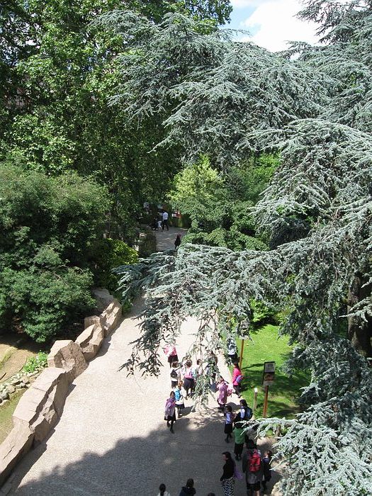 On top of the reptile building