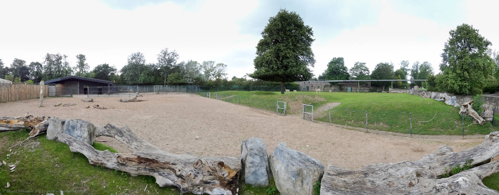 Onager and Camel Paddock Panorama - 29/07/2012