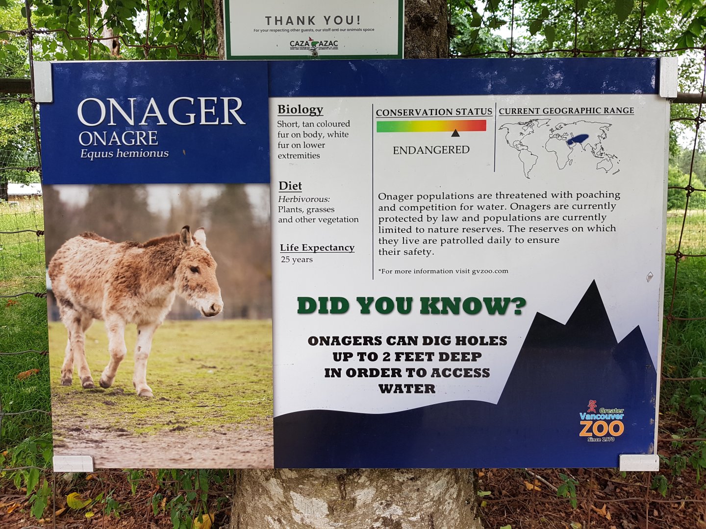 Onager Sign