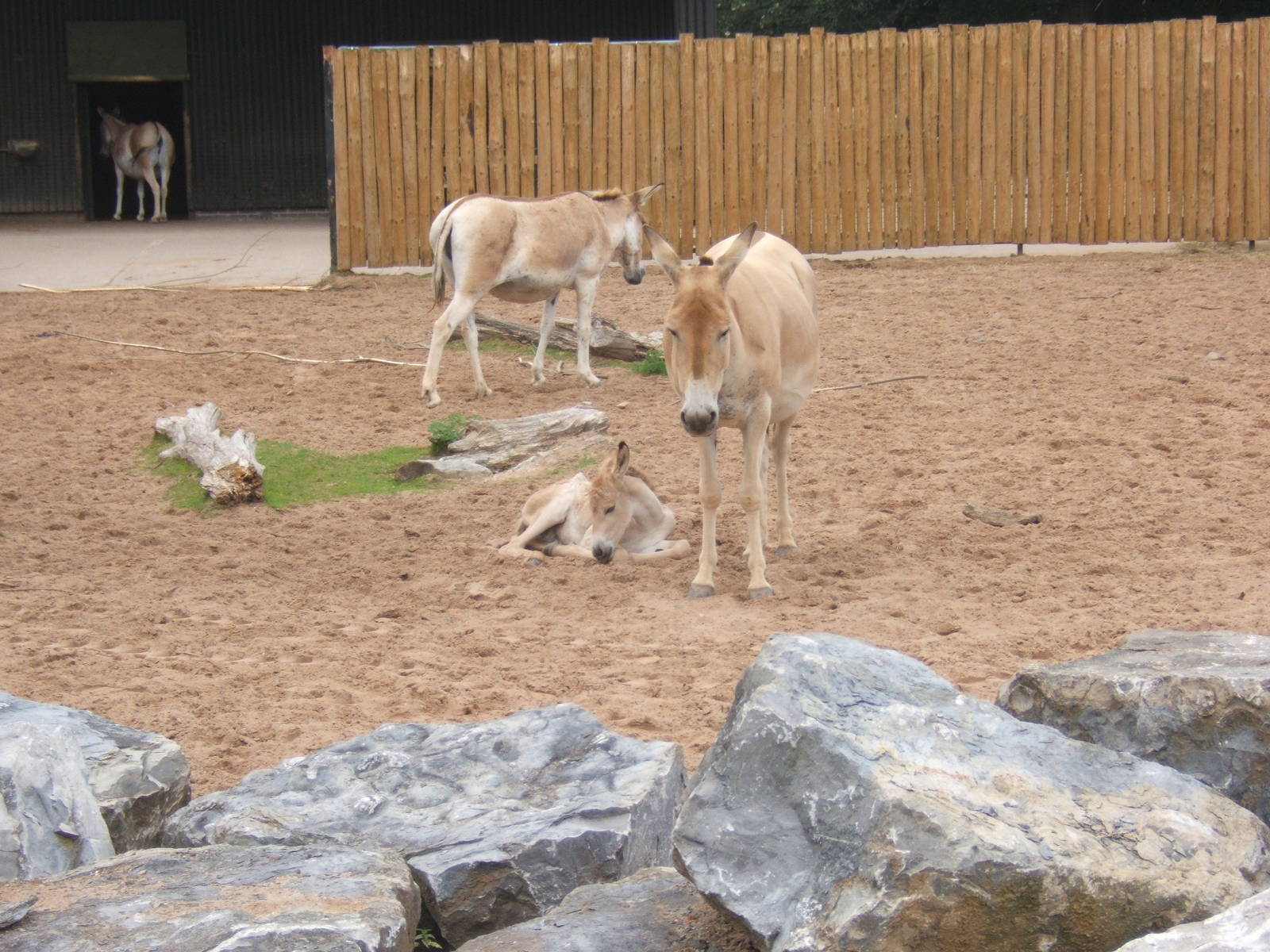 Onagers