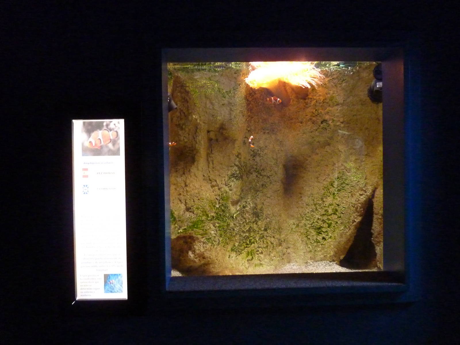 Once again, Nemo ruins everything. 10th April 2012