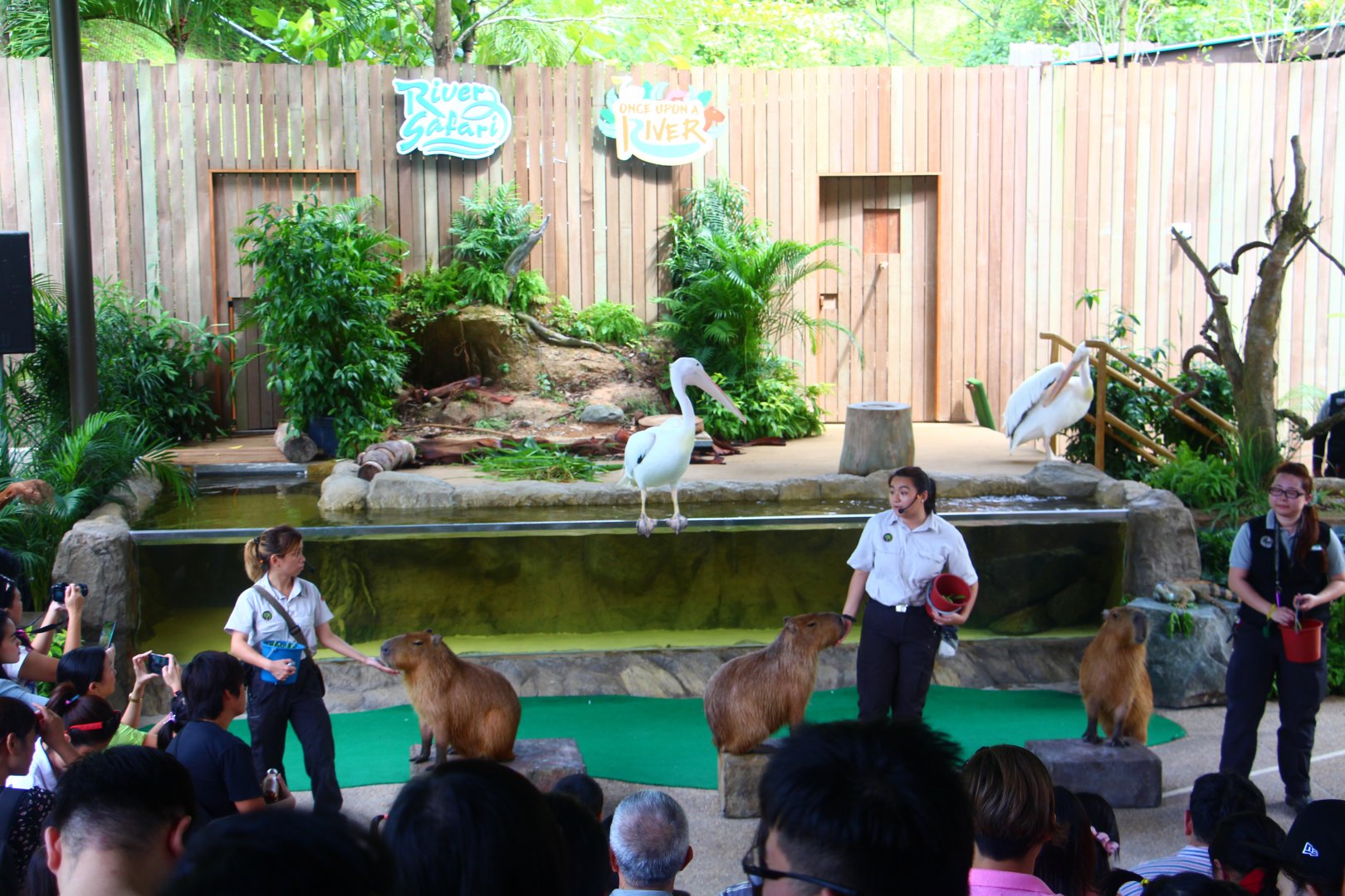 Once Upon A River show