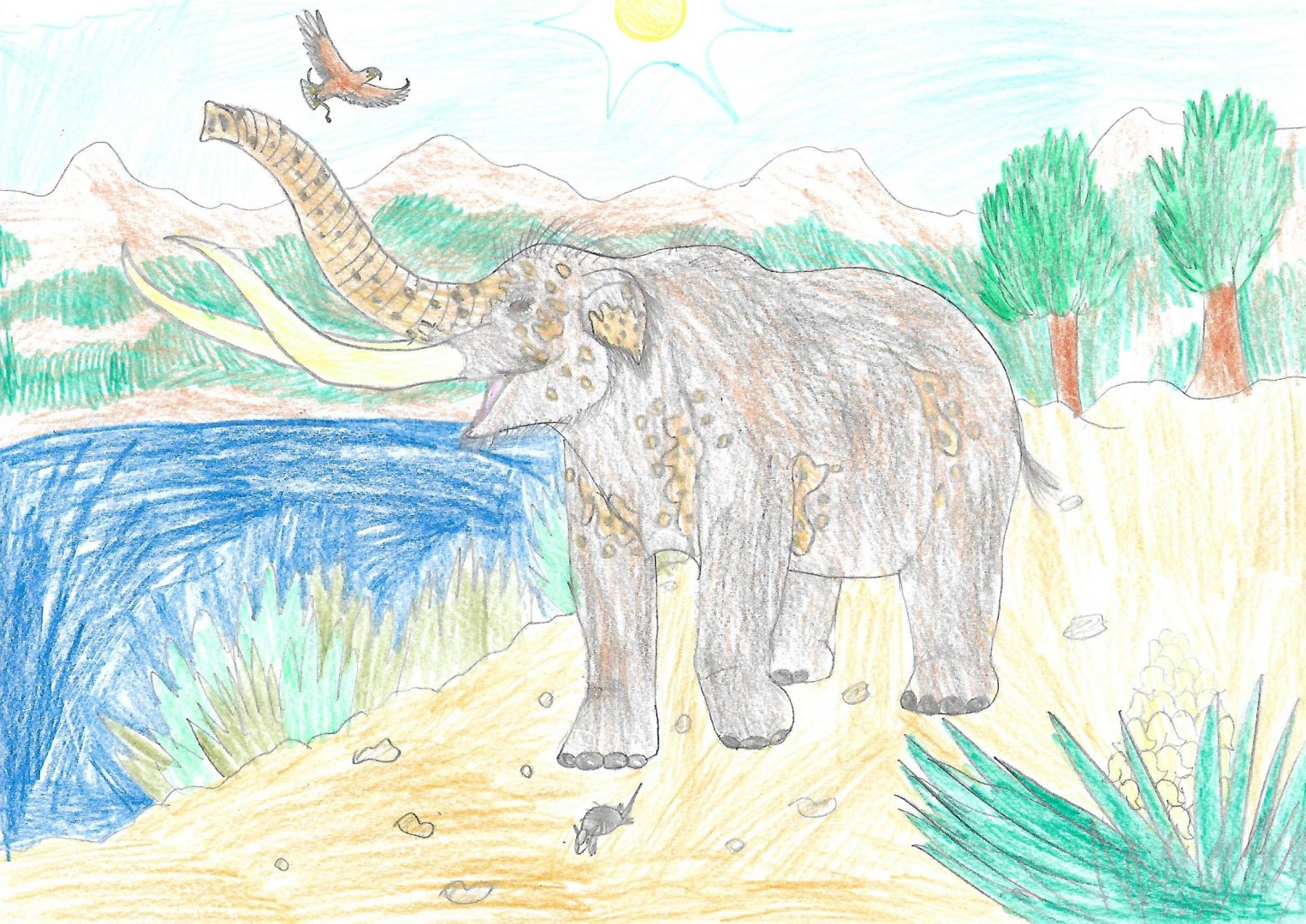 Once upon a time in Mexico