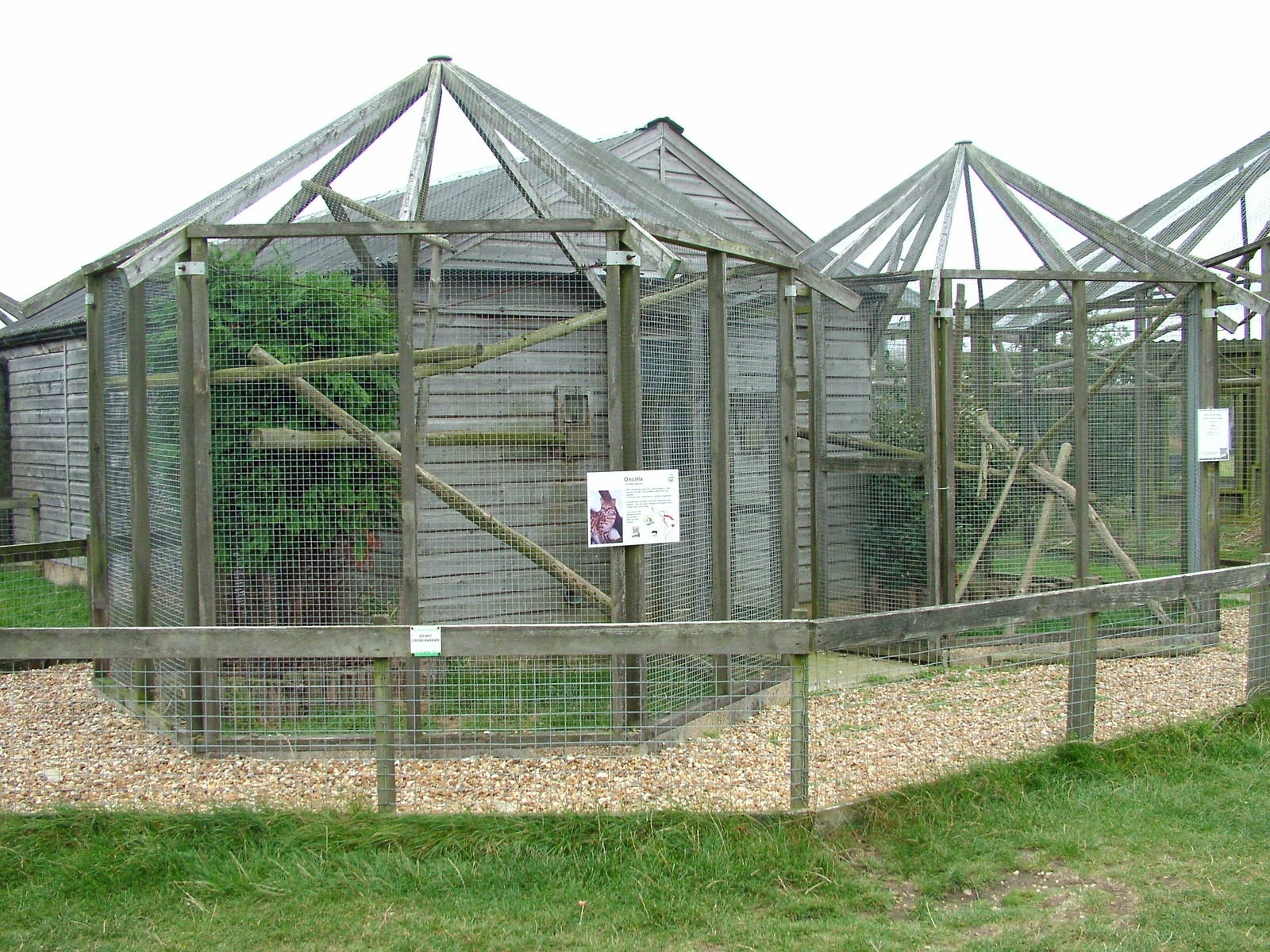 Oncilla Exhibits at Hamerton, 08/10/11