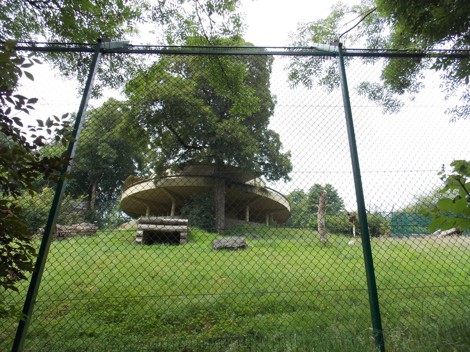 One acre lion enclosure