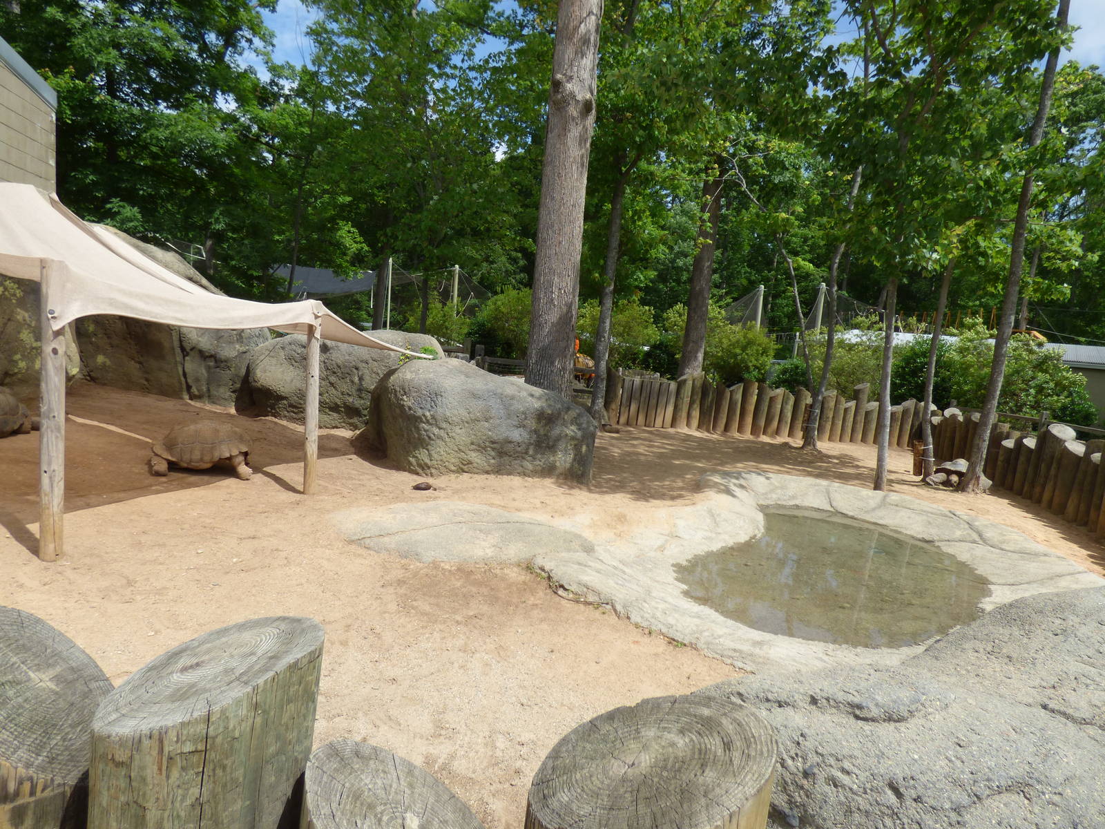 One End of Tortoise Exhibit