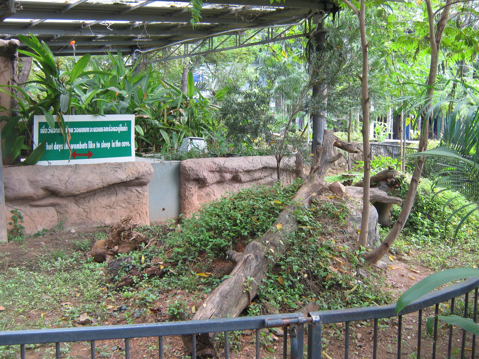 one half of the wombat enclosure