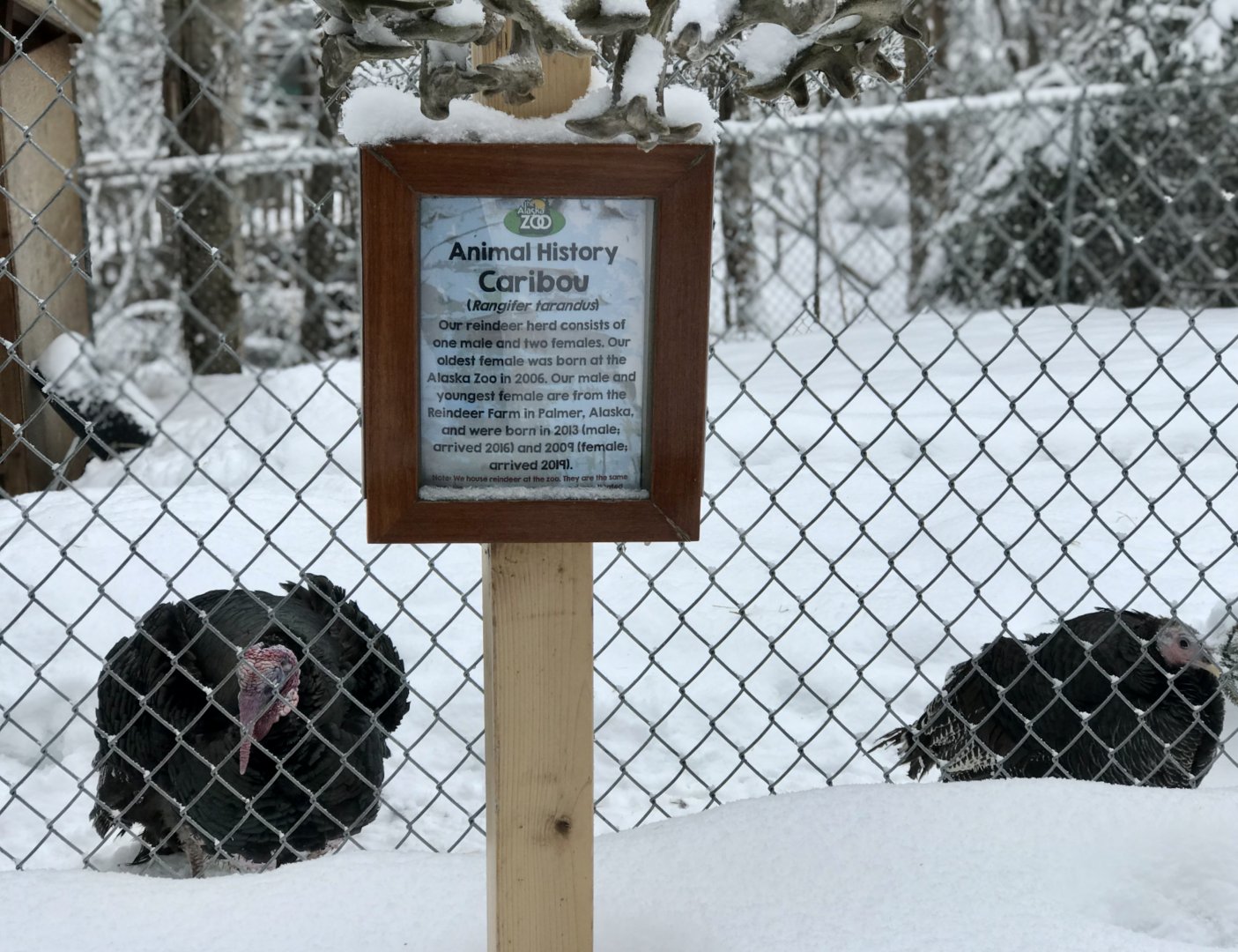 One job sign guy, you had one job...