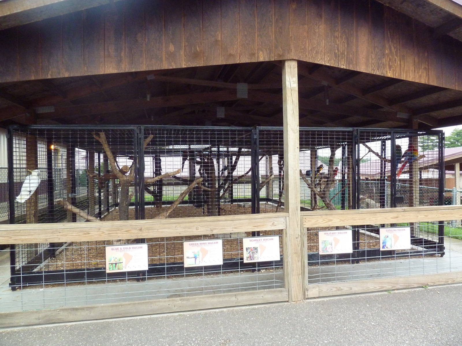 One Large Aviary (5 or more Species)