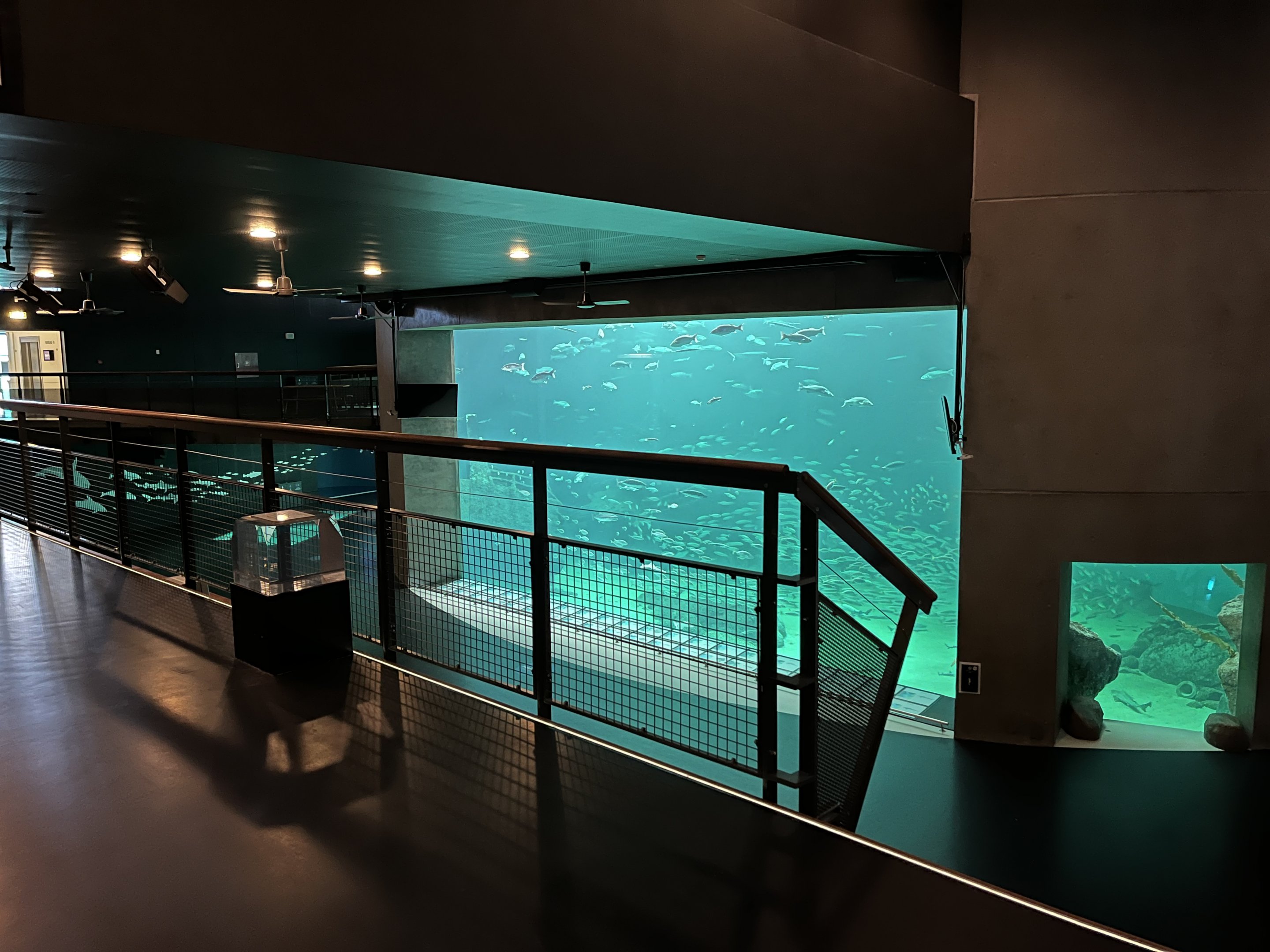 One Million Gallon Oceanarium