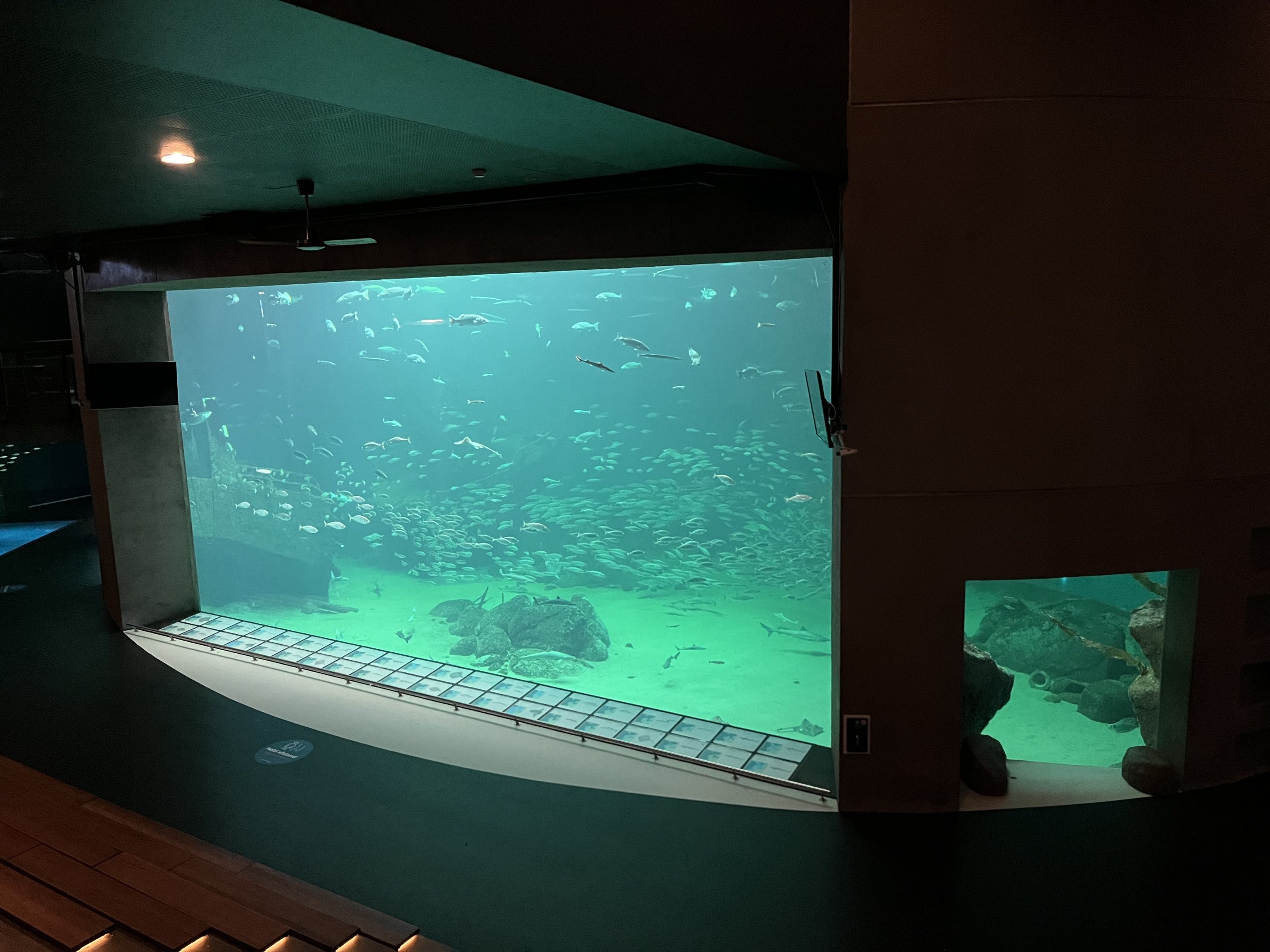 One Million Gallon Oceanarium
