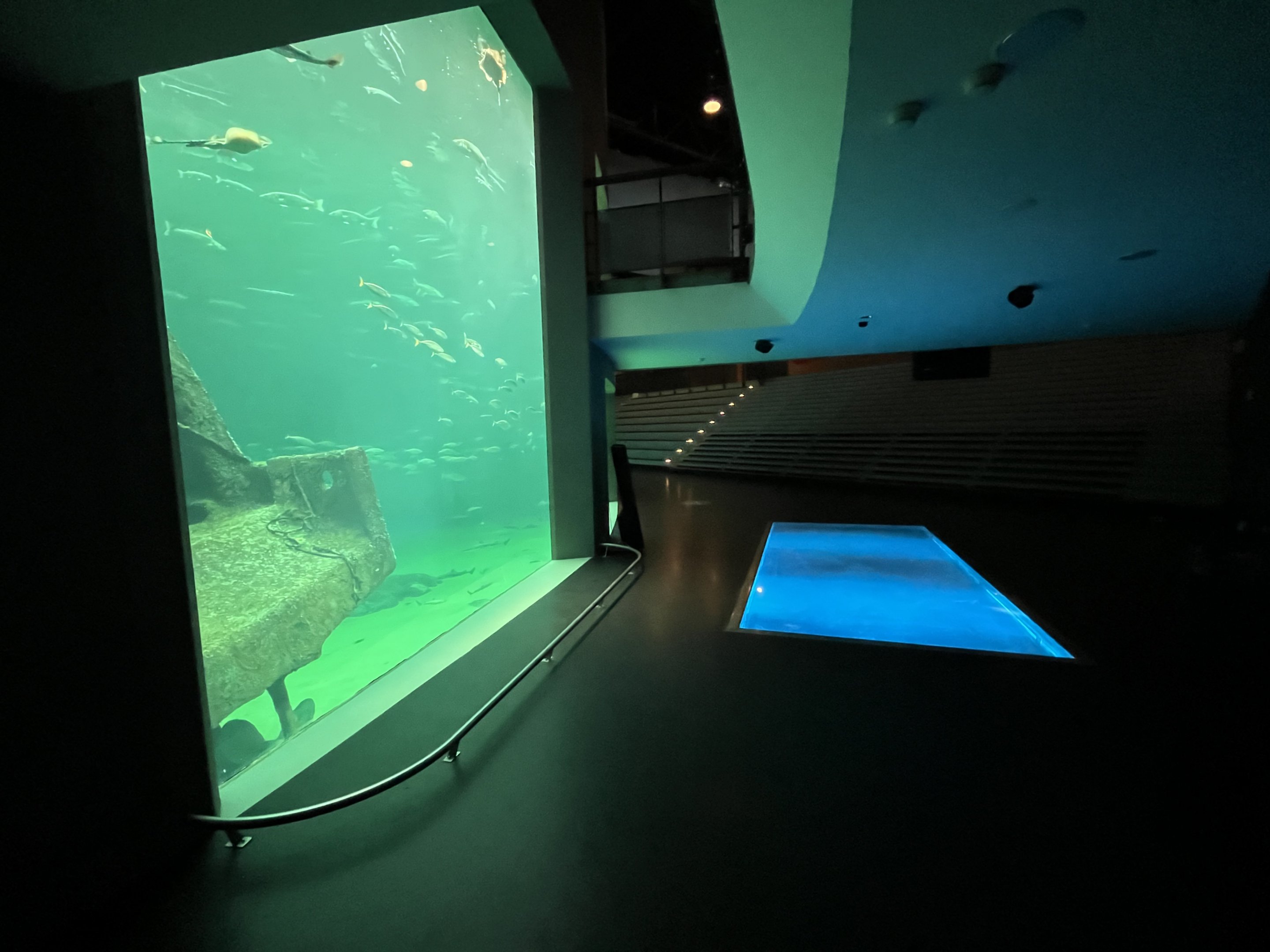 One Million Gallon Oceanarium