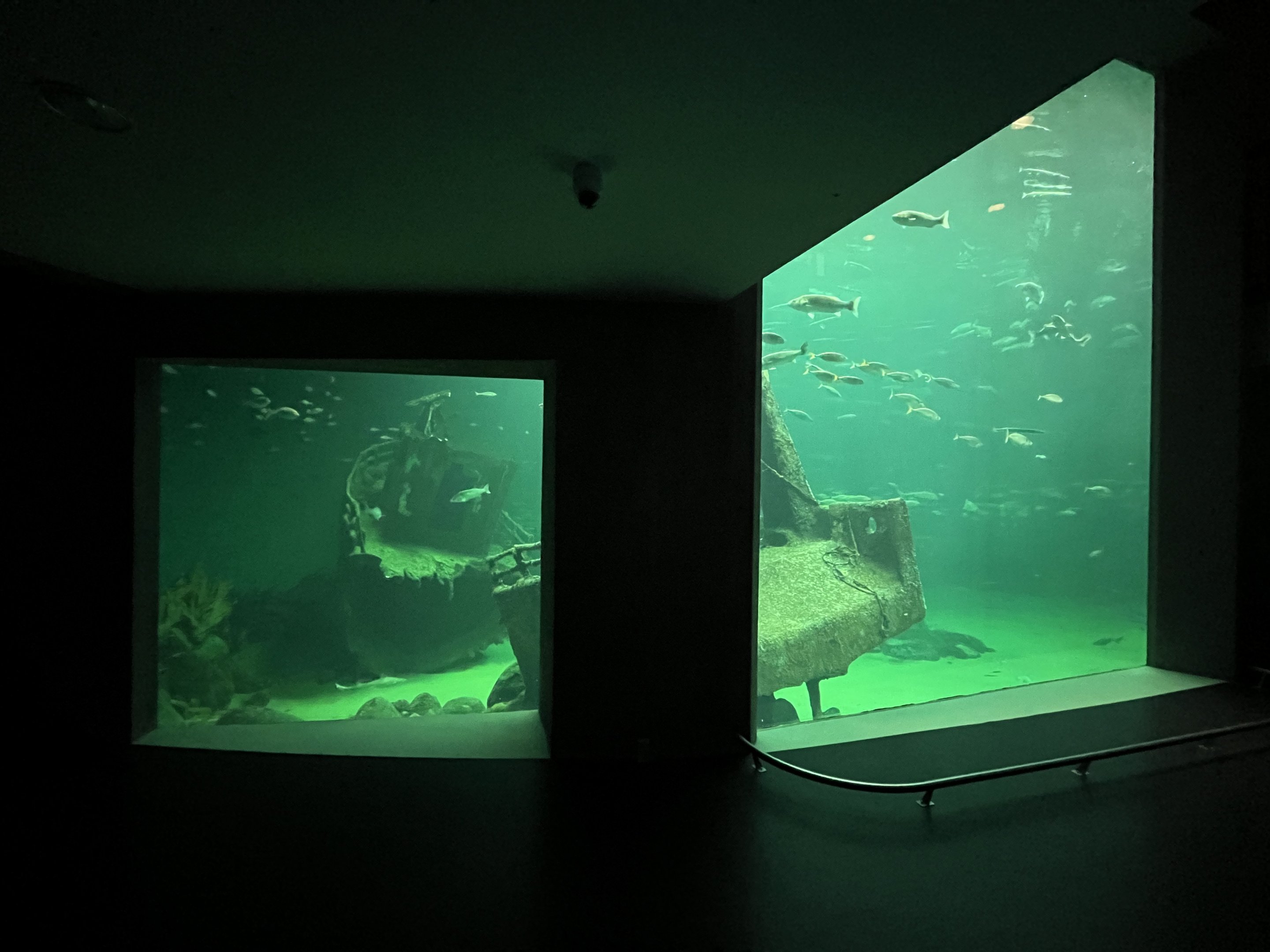 One Million Gallon Oceanarium