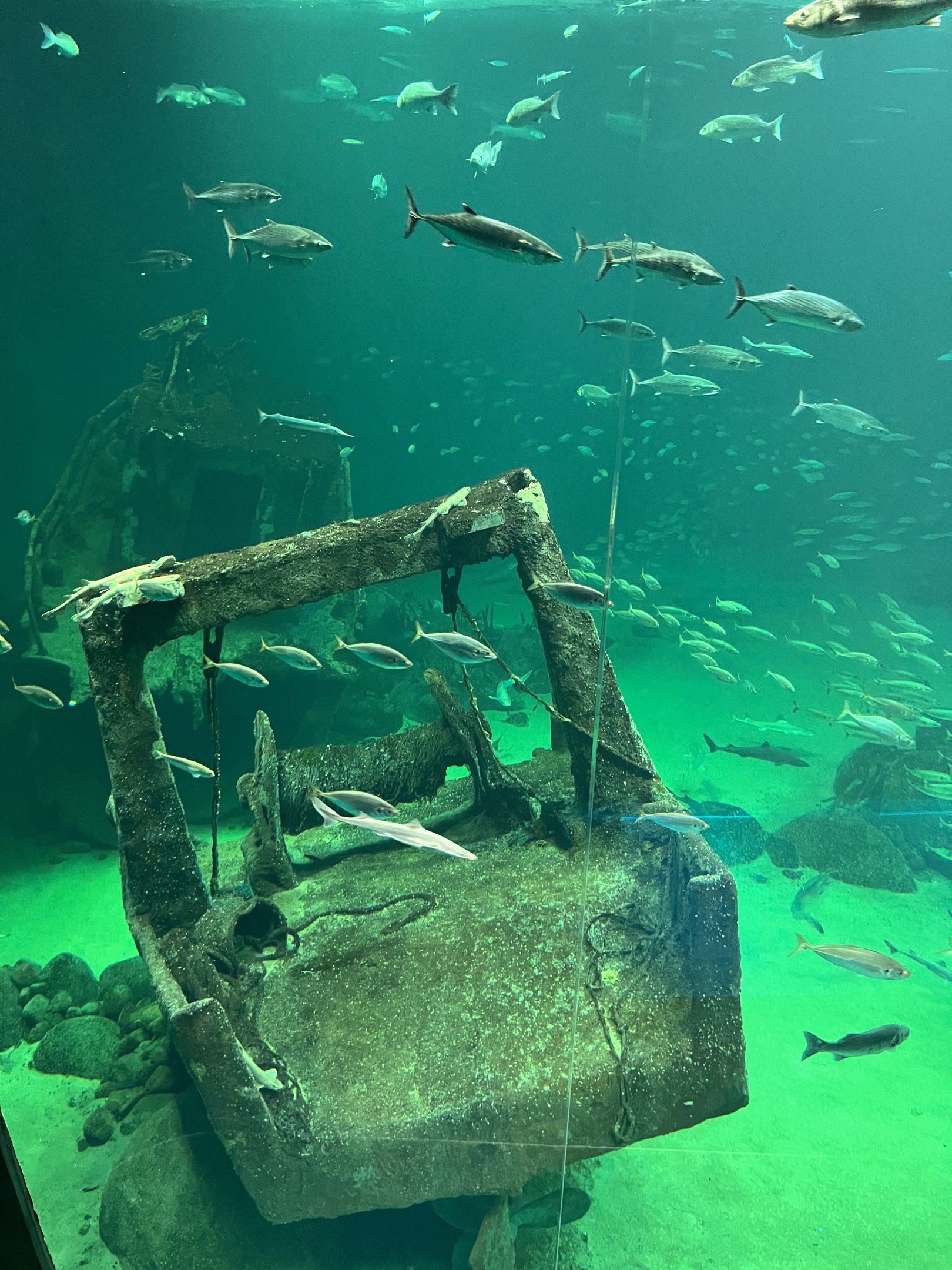 One Million Gallon Oceanarium