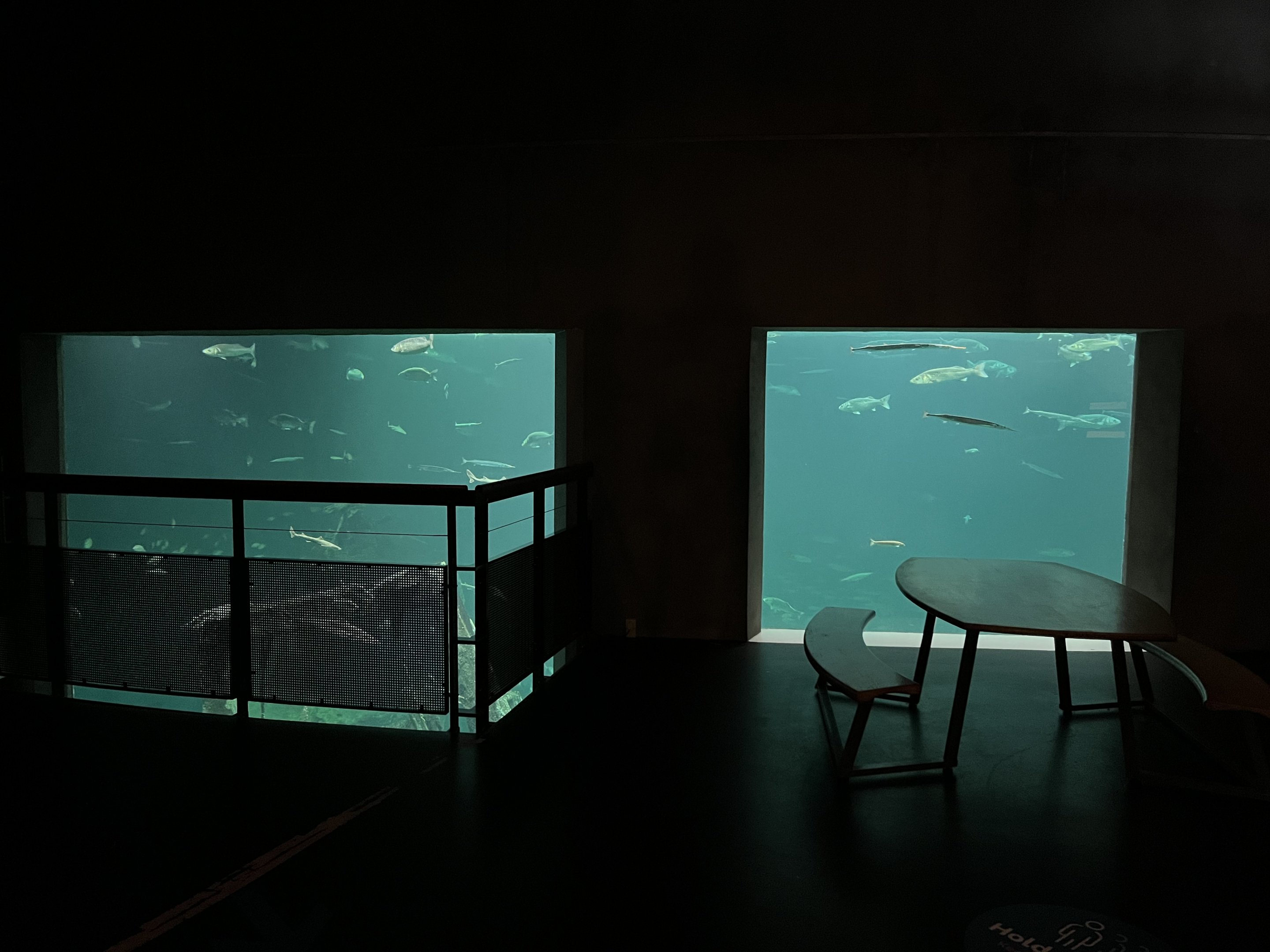 One Million Gallon Oceanarium