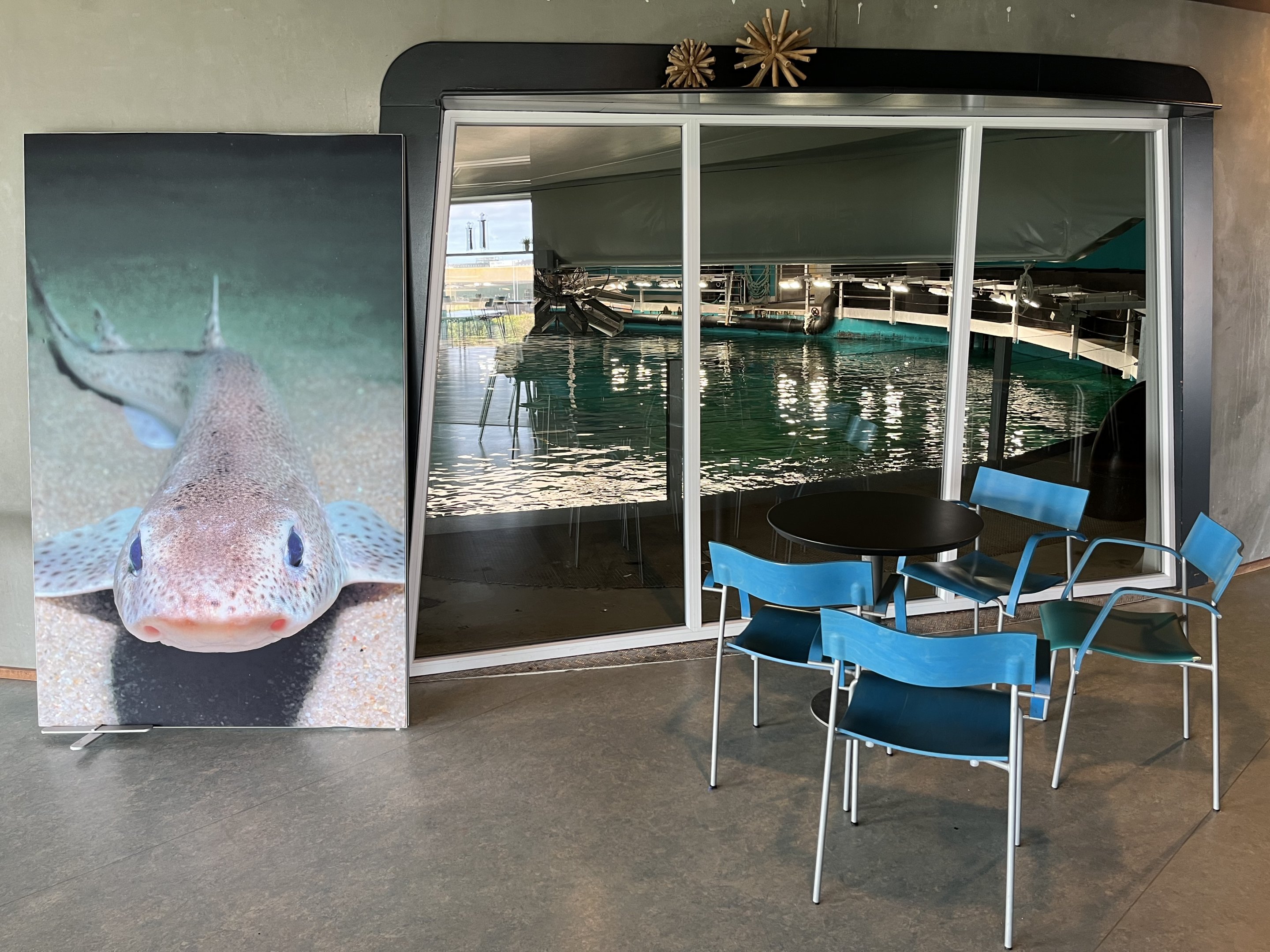 One Million Gallon Oceanarium