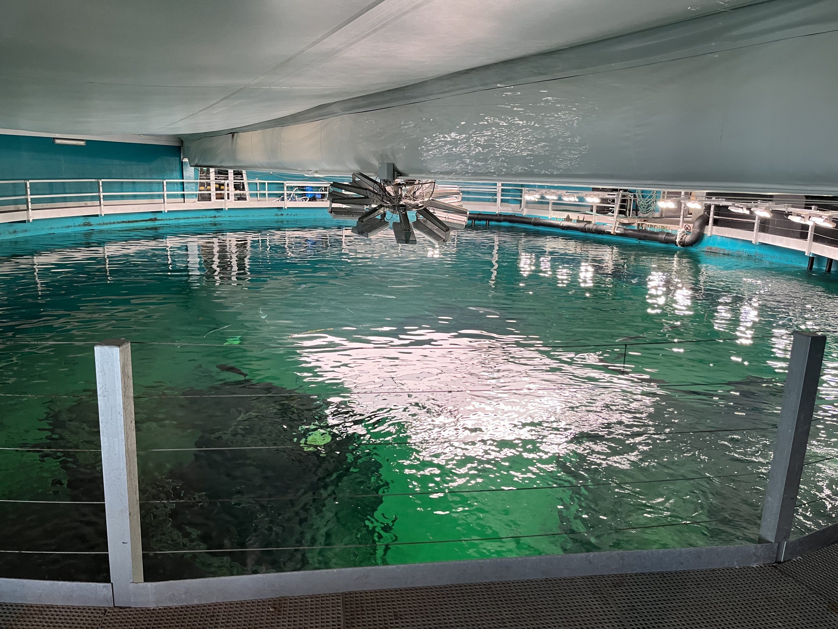 One Million Gallon Oceanarium