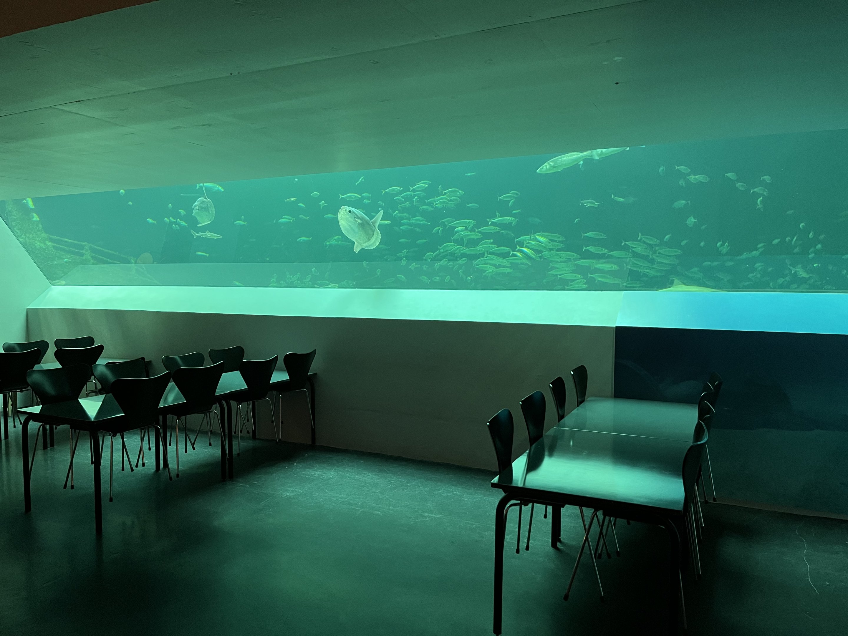 One Million Gallon Oceanarium