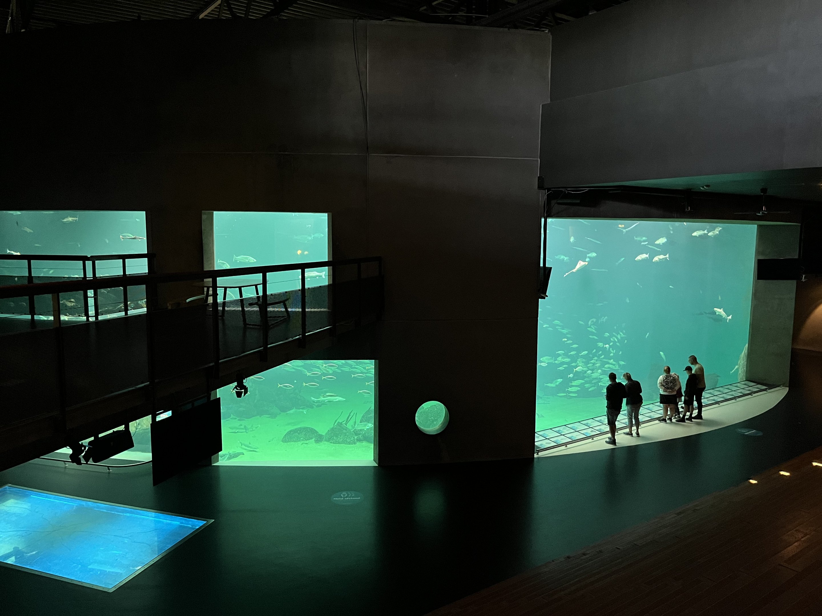 One Million Gallon Oceanarium