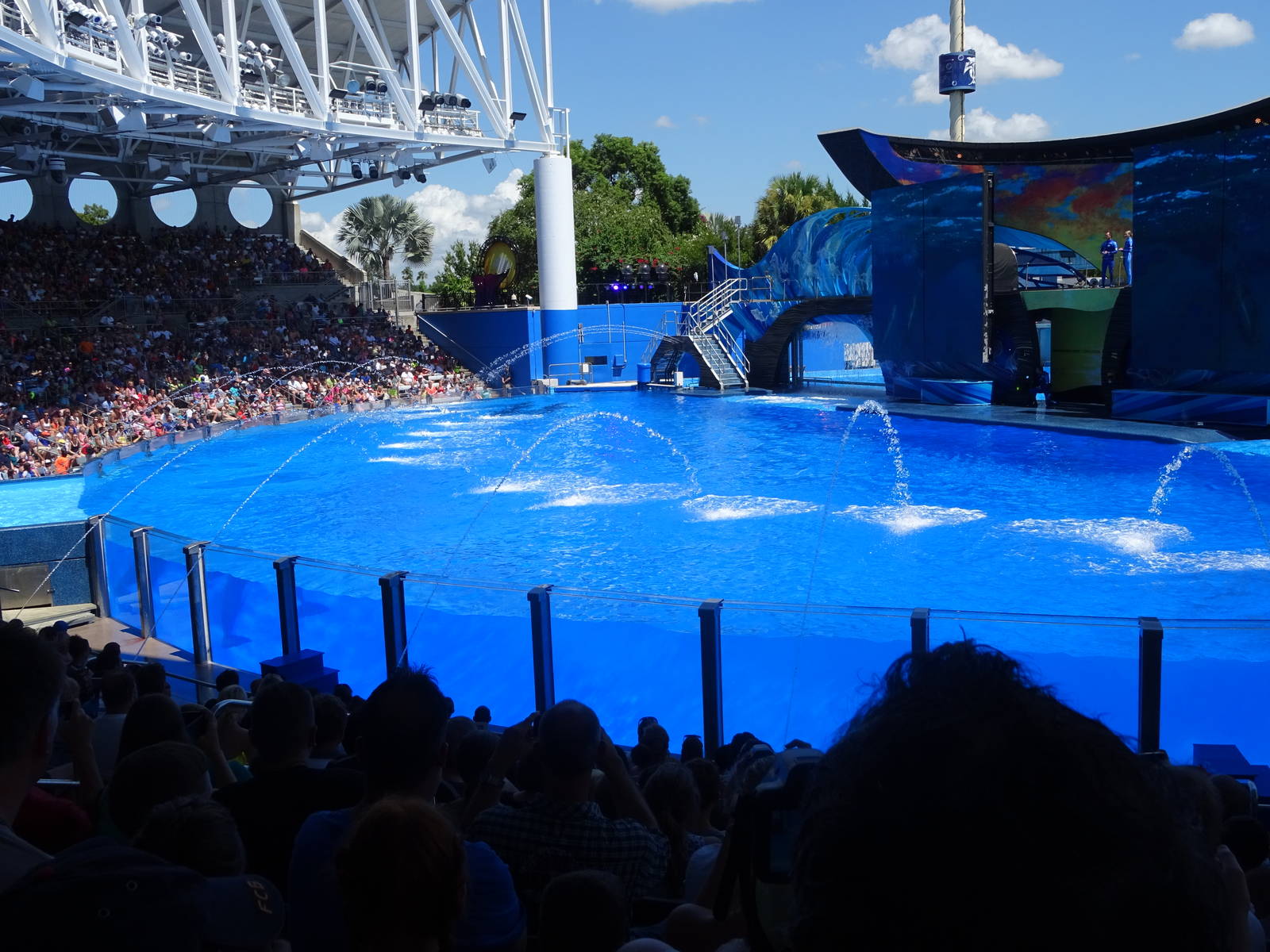 One Ocean at SeaWorld Orlando