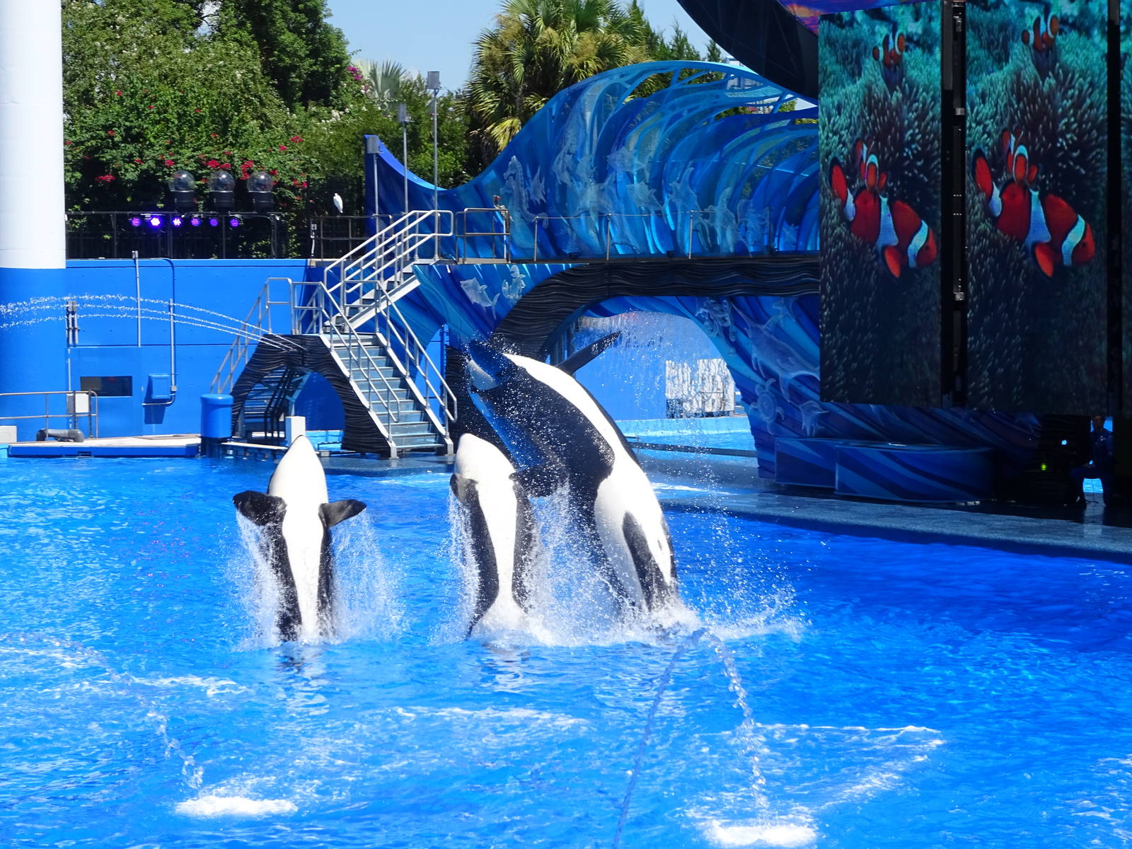 One Ocean at SeaWorld Orlando