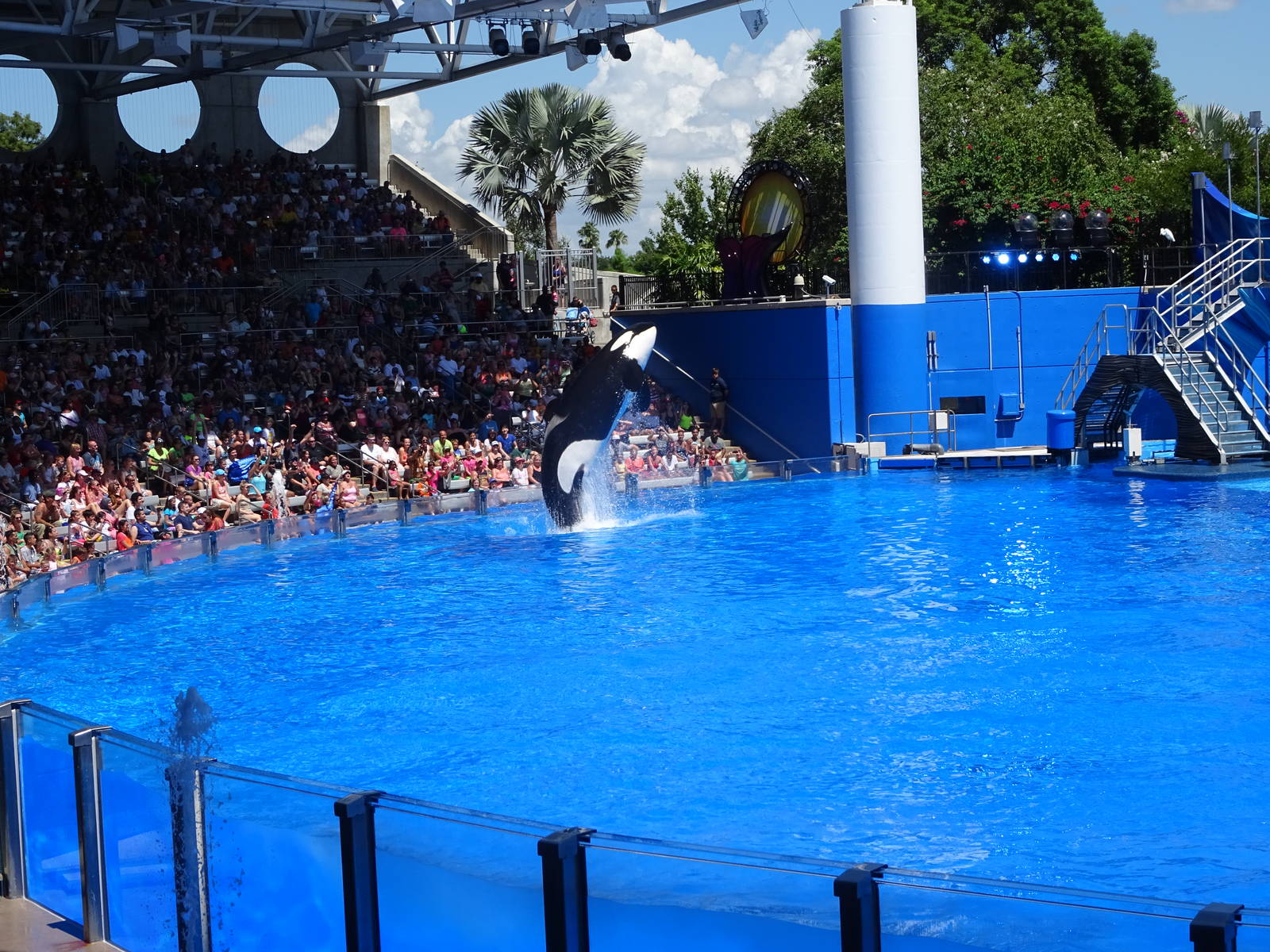One Ocean at SeaWorld Orlando